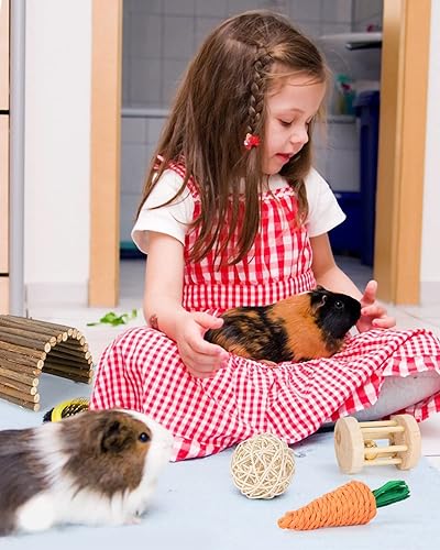 Miniatura 5 de Sofier Hámster, conejillo de indias juguetes accesorios naturales masticables para dientes conejo conejo rata chinchilla escondite bola de madera