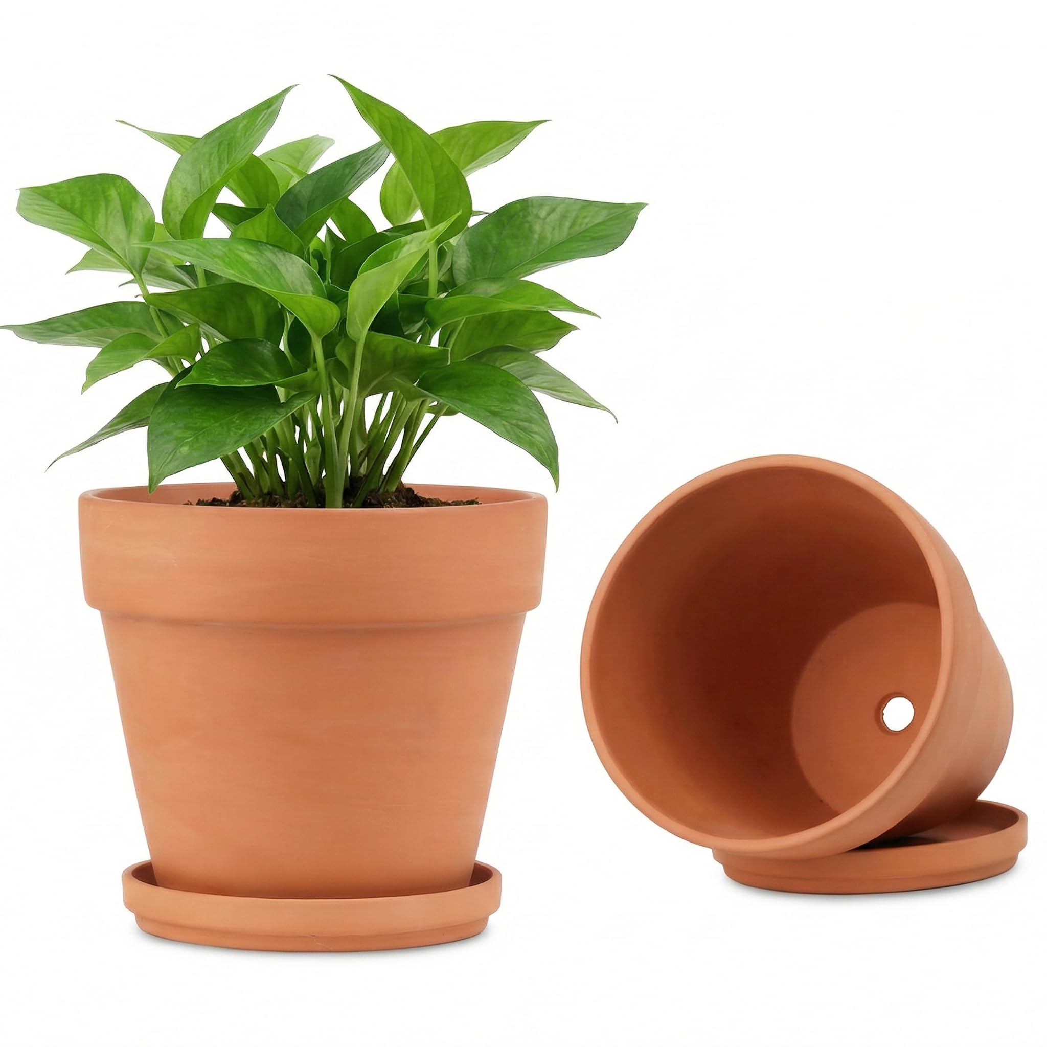 Riseuvo 8 Inch Large Terracotta Pots with Saucers