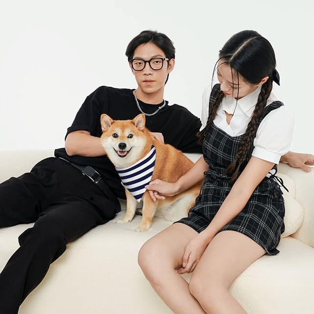 Foto 5 de 8 de Bandanas para Perros con Rayas Azules y Blancas