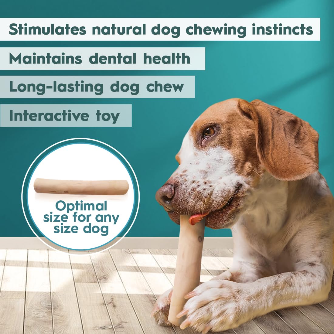 AmeizPet Coffee Tree Stick for Dog Chew Toy Coffee Tree Root Dogs Chew - Durable Dog Wooden Chewing Stick, M Size - Image 3