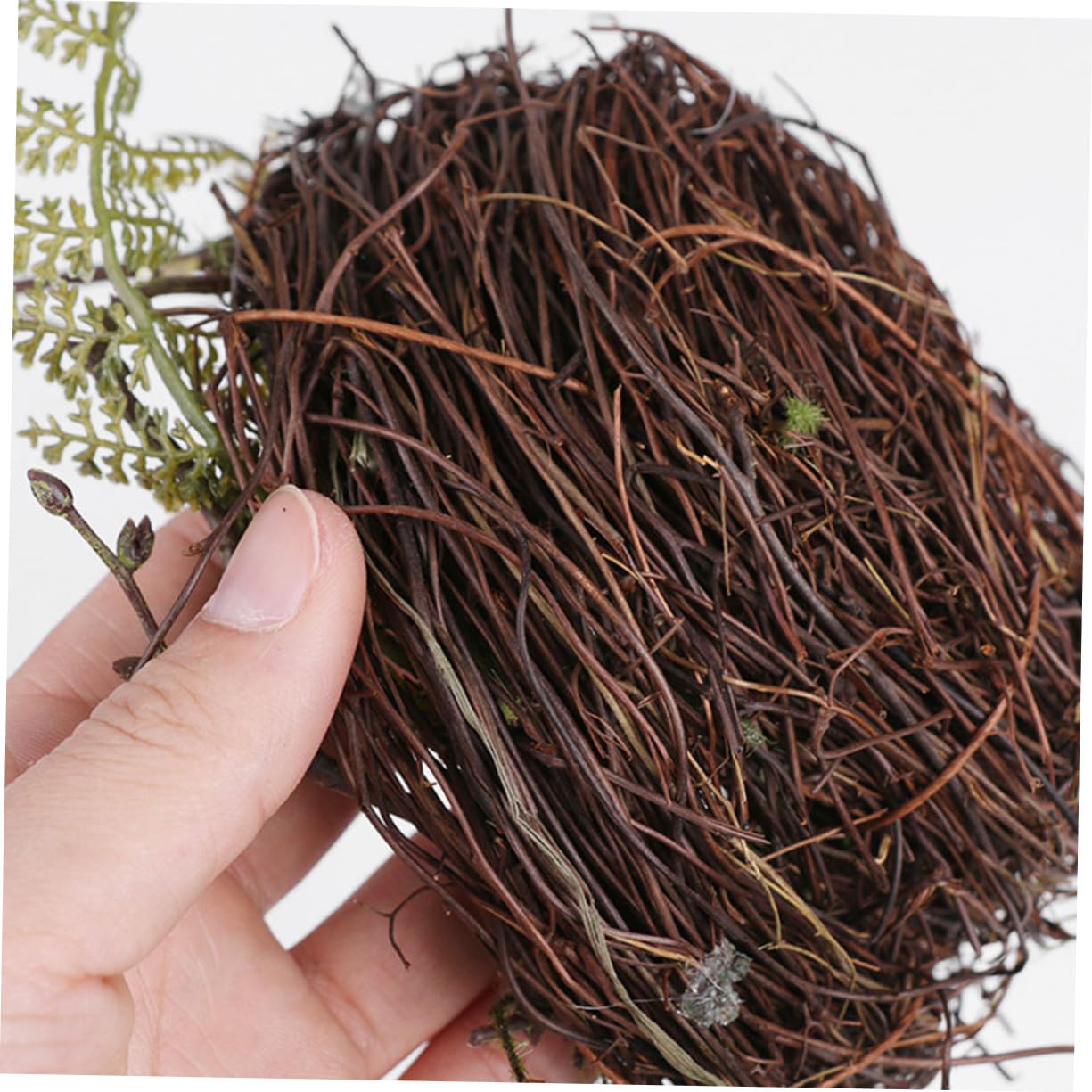 BESPORTBLE 4ensembles Nid Oiseau Rattan Tissé Main Abri Naturel pour Oiseaux Accessoires De Décoration pour Mariage Et Photographie Incluant Un Nid avec Deux Oiseaux Et Œufs Décoratifs