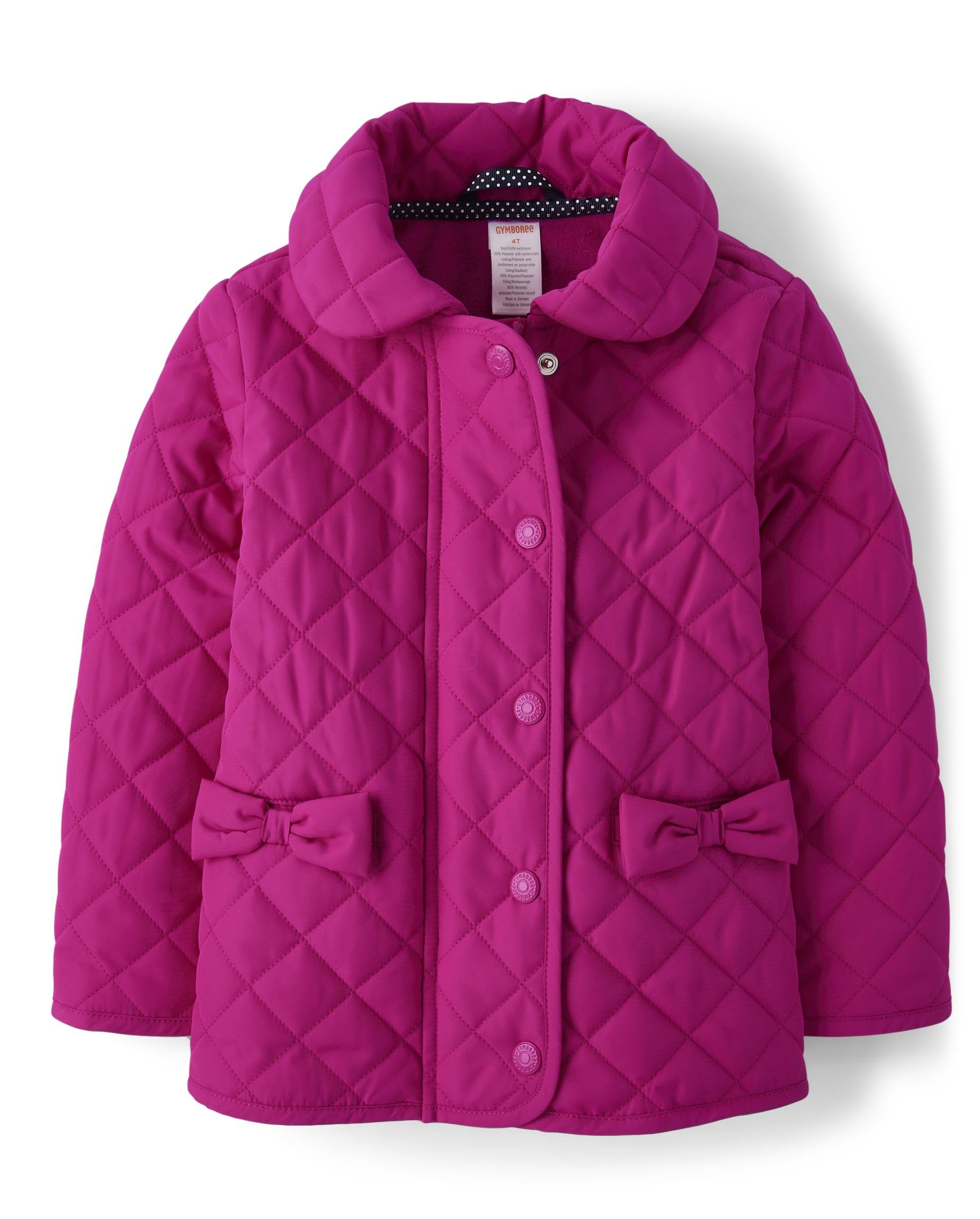 Gymboree girls And Toddler Dressy Coat