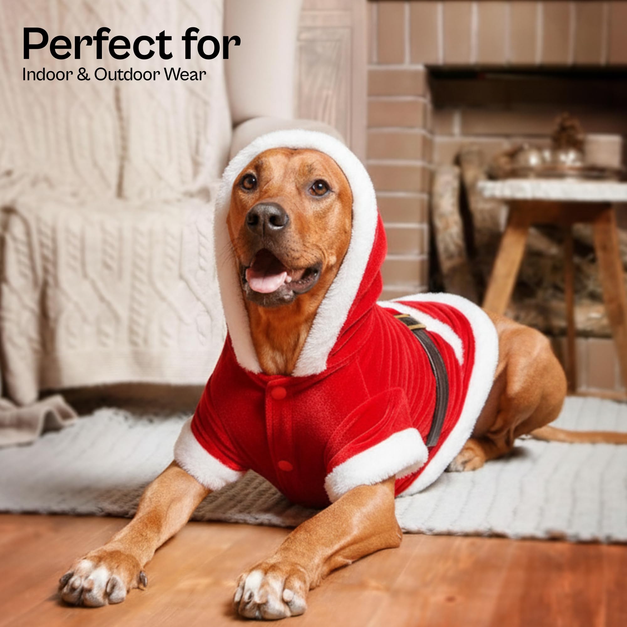 christmas dog dresses Parisian Pet Santa Hoodie - Santa Claus Dog Outfit – Xmas Holiday Puppy Hoodie – Winter Pet Christmas Sweater – Soft Velvet Clothes for Small Dogs pink modest dress Amanda Uprichard Satin Dress this costume is both Ladies SIze:12