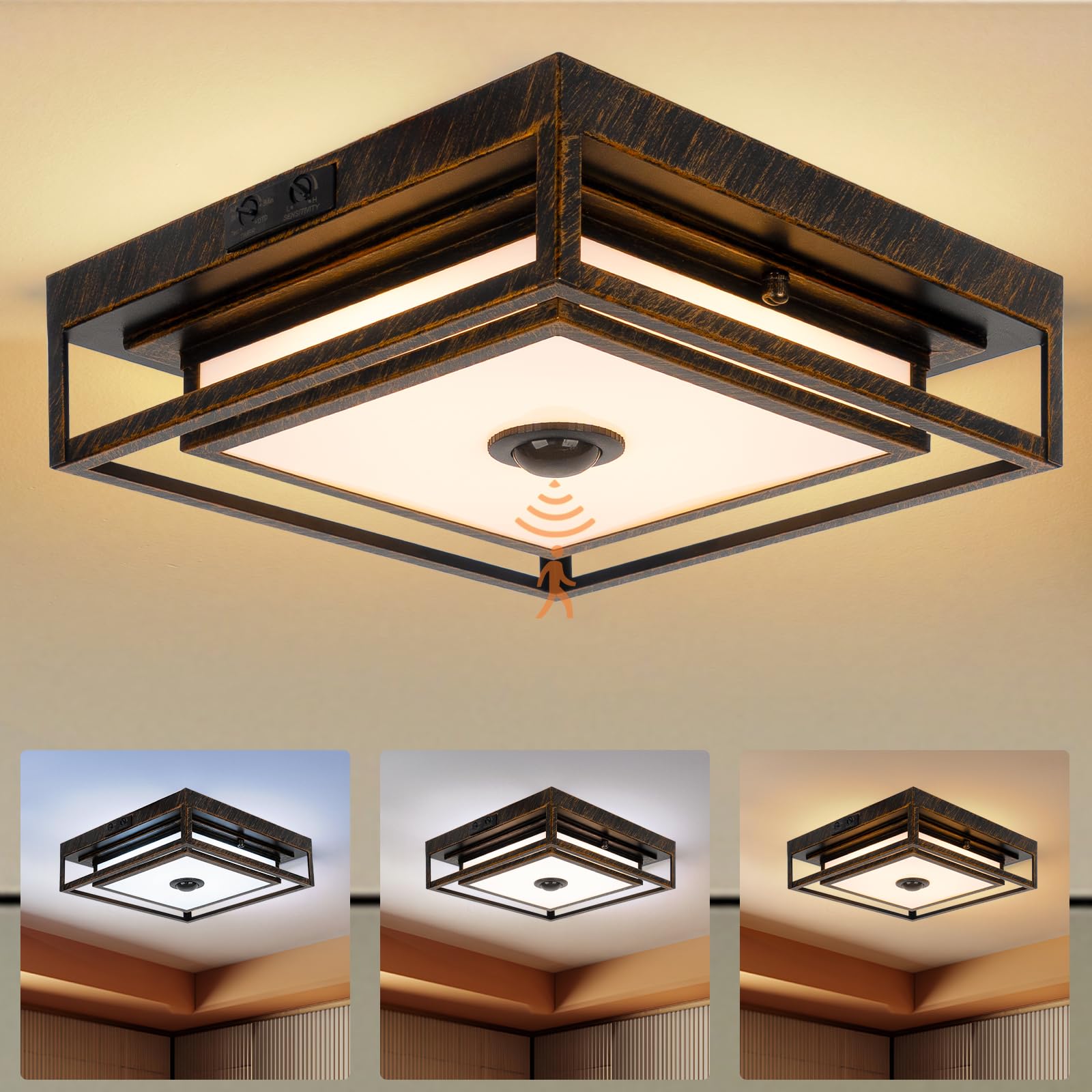 LED Motion Sensor Outdoor Ceiling Light Dusk to Dawn Black Brushed Gold