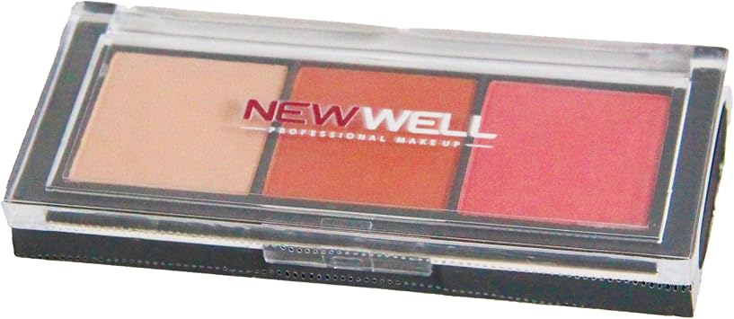 New Well 3 Pcs Eyeshadow Palette No 01 G z Far  Paleti