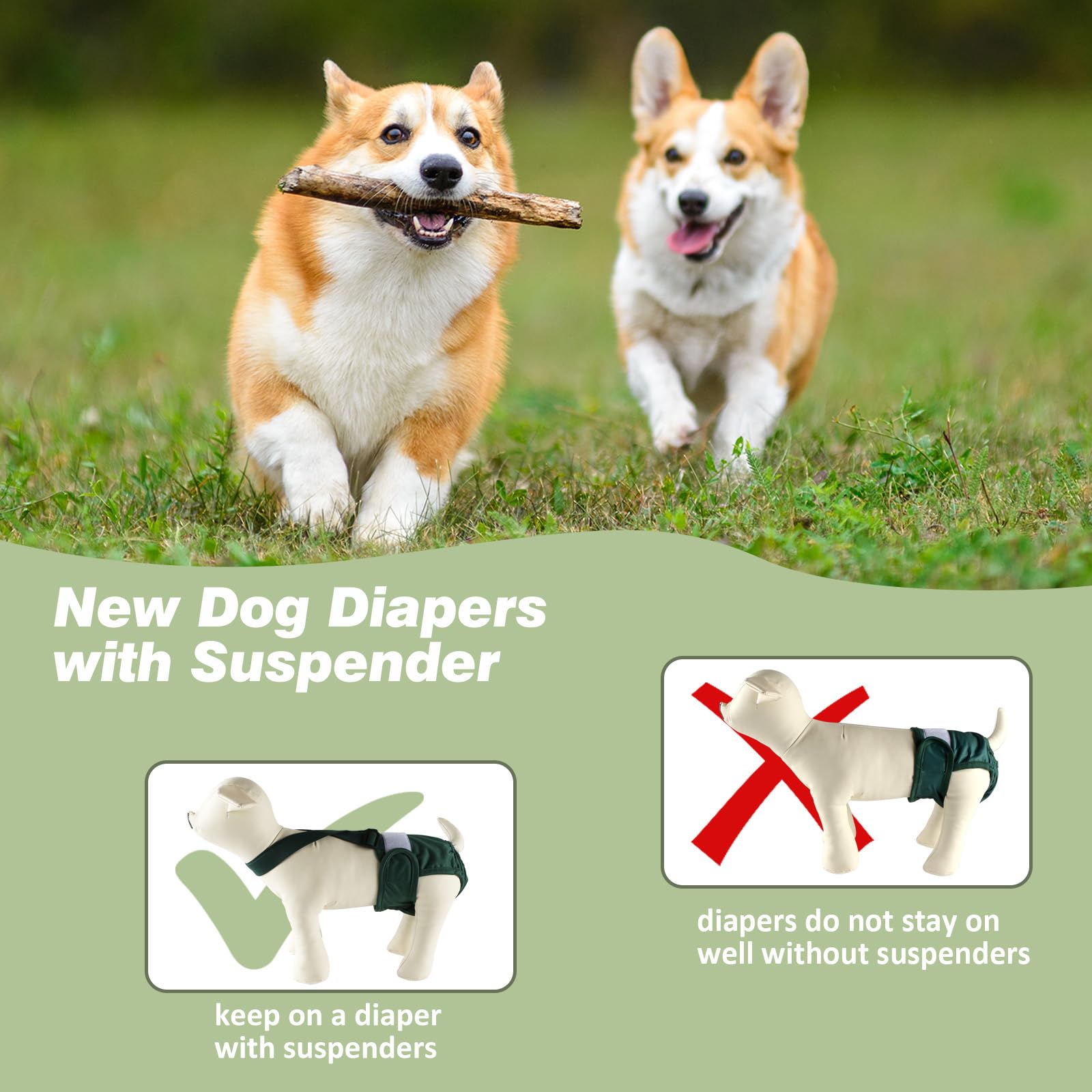 Hisprout 3-Pack Female Dog Diaper with Suspender Reusable Washable Breathable Durable Doggie Pants for Heat Season Period Incontinence(M,Black) - Image 3
