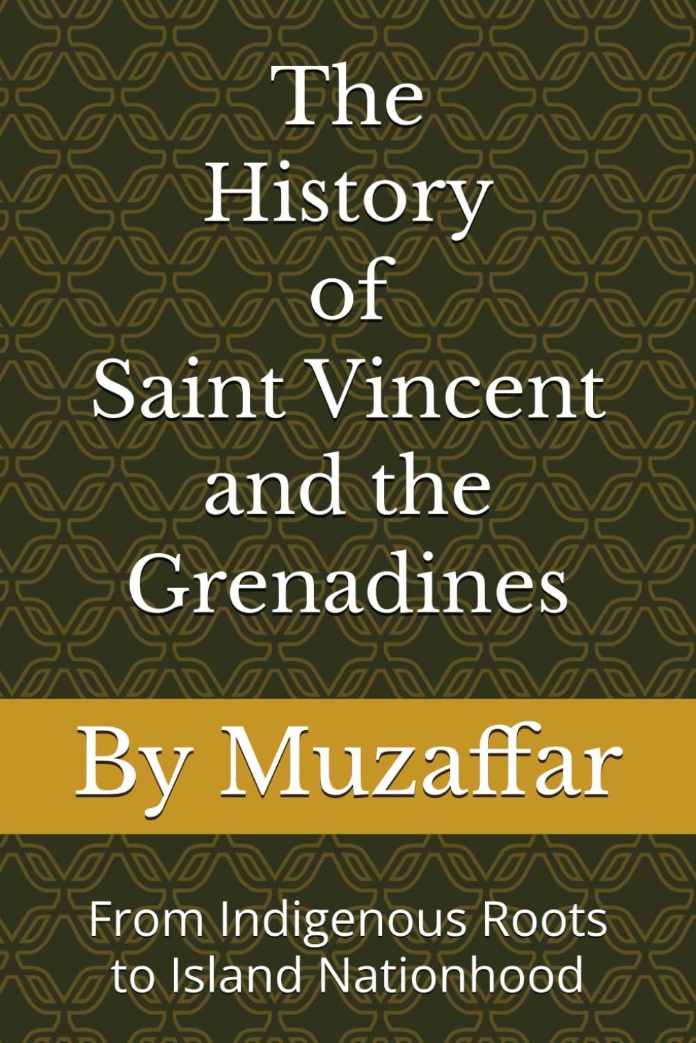 The History of Saint Vincent and the Grenadines: From Indigenous Roots to Island Nationhood (history books)