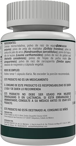 Miniatura 7 de ADAPTOHEAL Cápsulas de Extracto de Equinácea y Palo de arco, Leuzea, Yerbamate y Zarzaparrilla - Ayuda a Reforzar el Sistema Inmunológico - sin