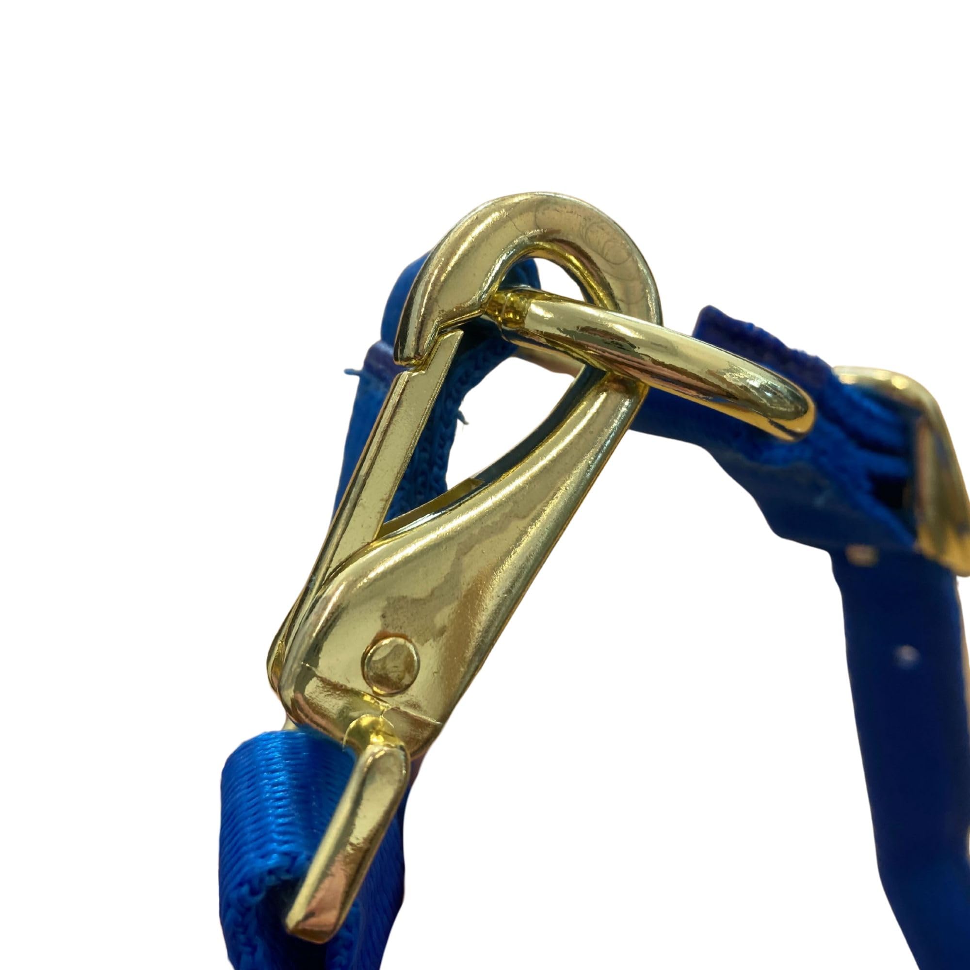 Intrepid International Nylon Miniature Horse Halter
