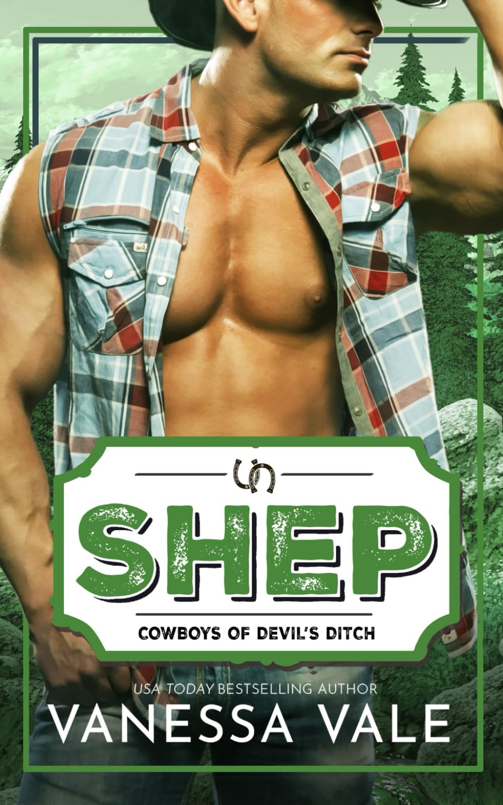 Shep: A Small Town Cowboy Romance (Cowboys of Devil's Ditch)