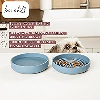 Vista 2 de Should We Go? Alimentador lento para perros y gatos, el tazón Slowdown de silicona, solución para comer lentamente con diseño moderno de alfombrilla
