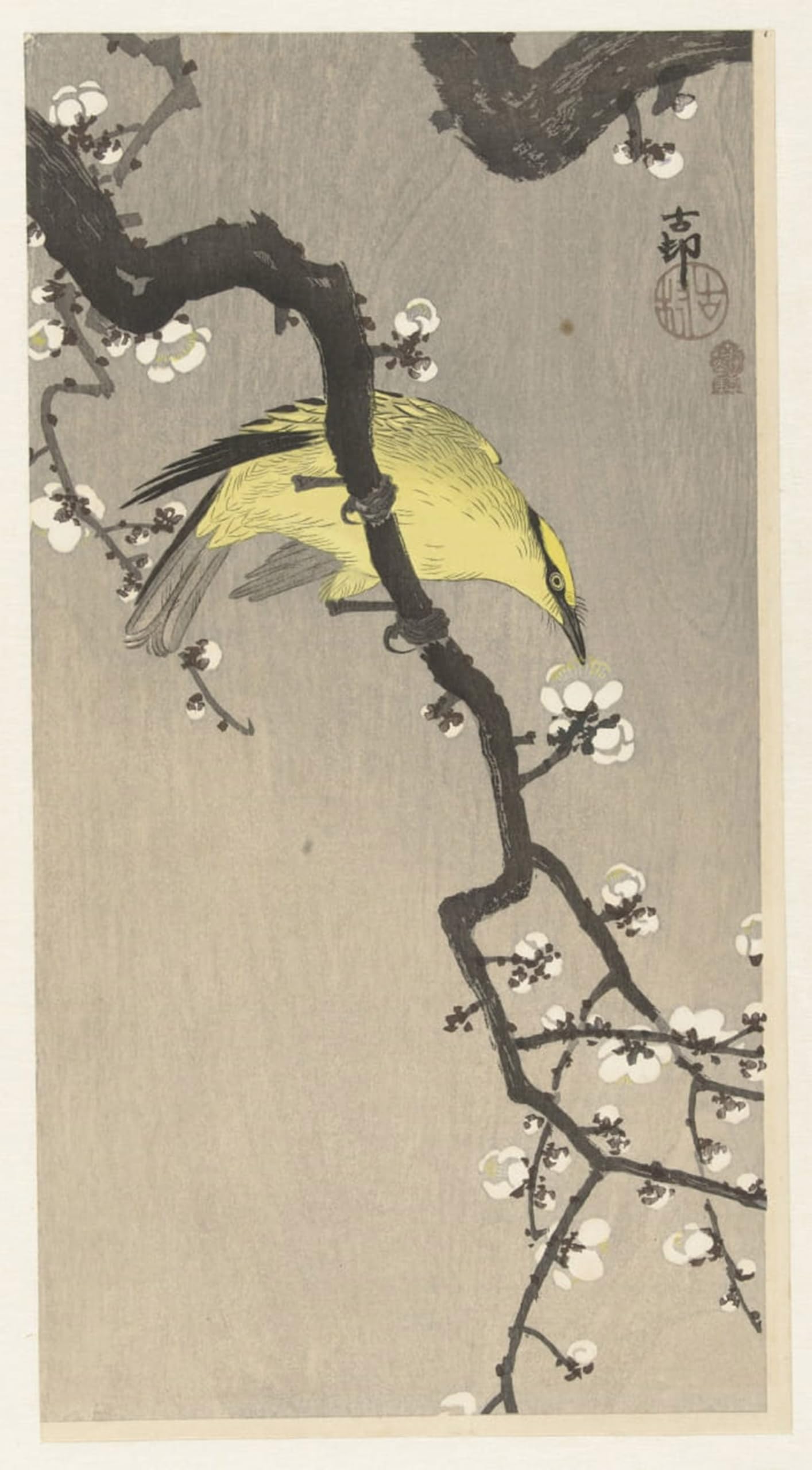 SERENDIPITP Retro Picture Poster Wall Art Pictures Painting Squeaker At Waters Edge by Ohara Koson Wall Art Canvas Print for Wall Decor 60x90cm