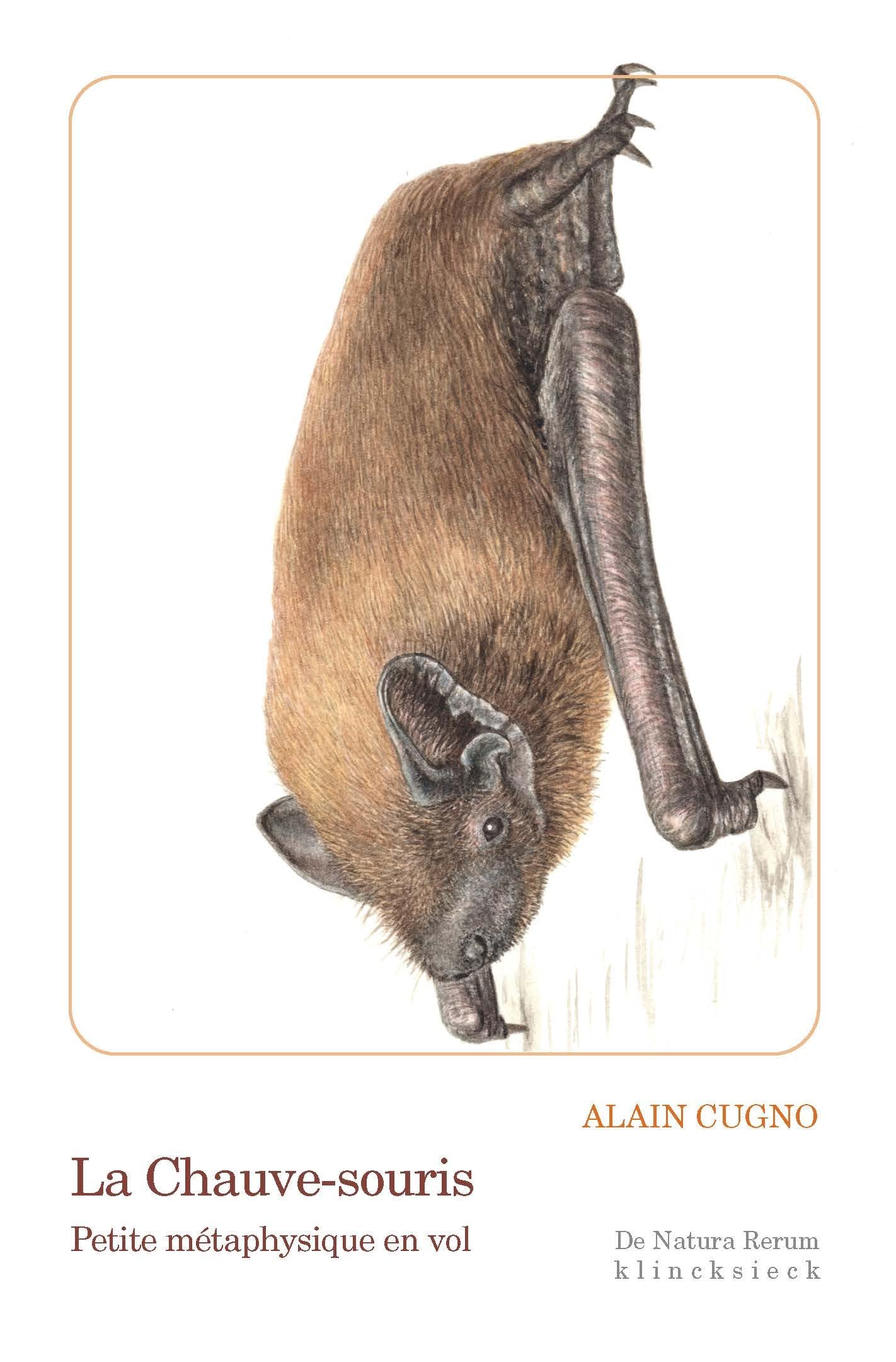 La Chauve-souris: Petite métaphysique en vol