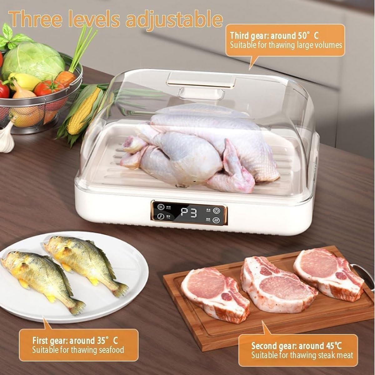 Scatola elettrica per scongelare la carne da 100 W, contenitore intelligente per lo scongelamento di alimenti surgelati, vassoio per scongelare la carne da 8 litri con regolazione