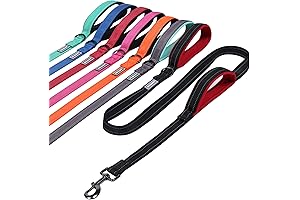 VIVAGLORY Dog Leash: Comfort and Control for Unforgettable Walks