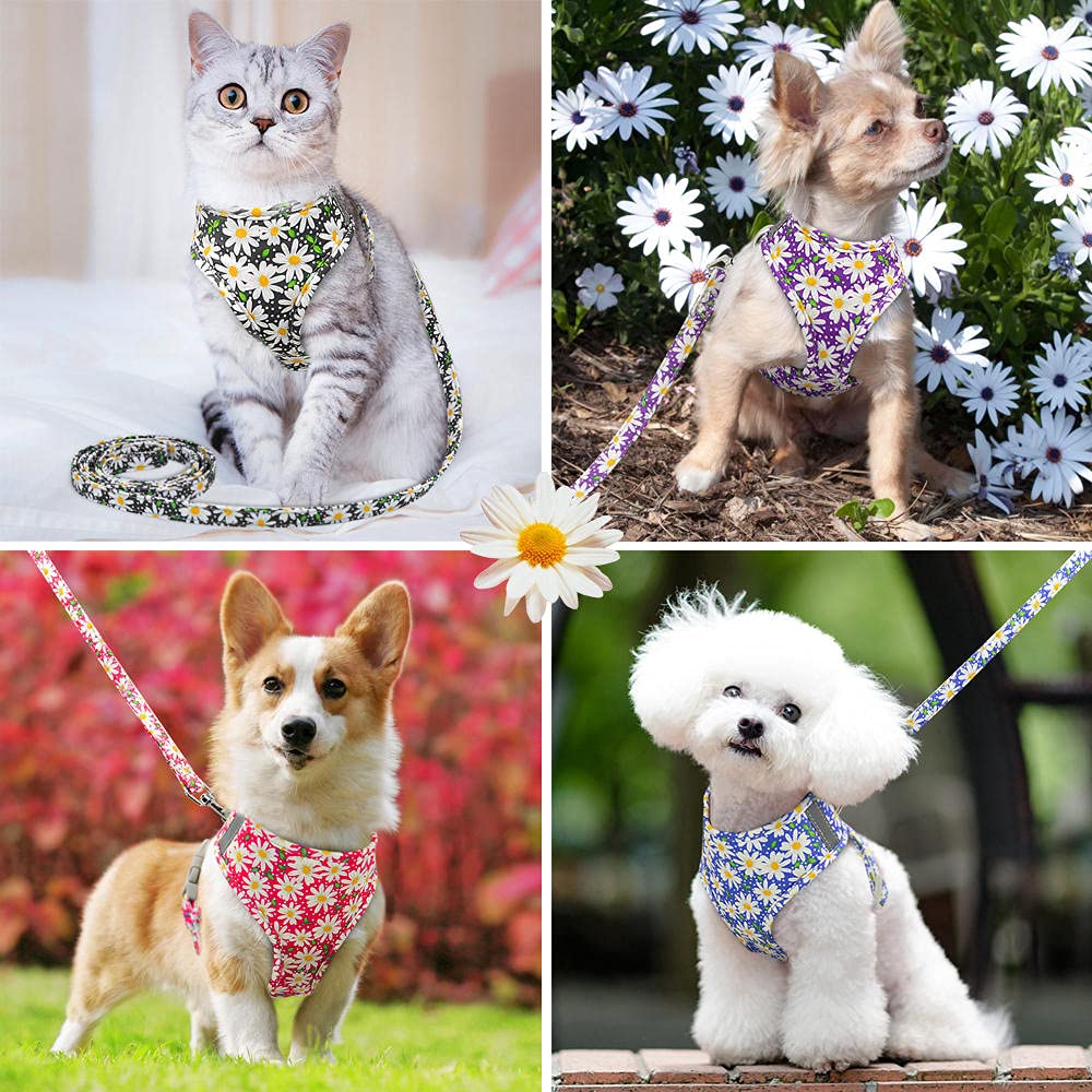 Arnés de Malla de Nailon con Estampado de Plomo para Perros y Gatos pequeños, Conjunto de Correa y Chaleco Reflectante Acolchado Suave DM, transportador de Perros (D, L)