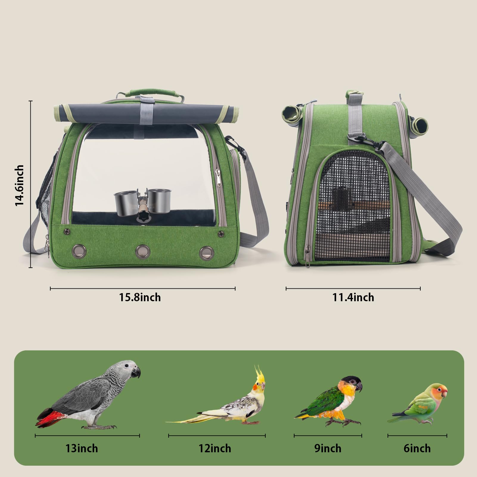 Transportador de pájaros verde