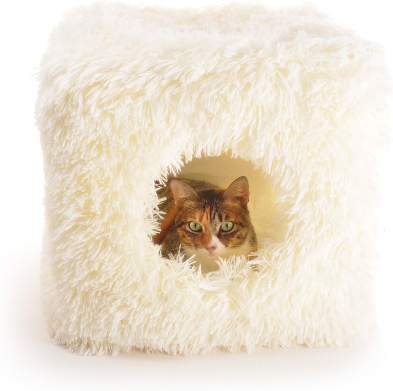Furry Cat House