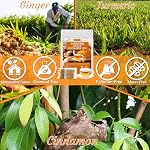 Prime 120 Turcuma, gingembre, sachets de thé à la cannelle, 100% Pure & Pas d ' additifs & Sans caféine.