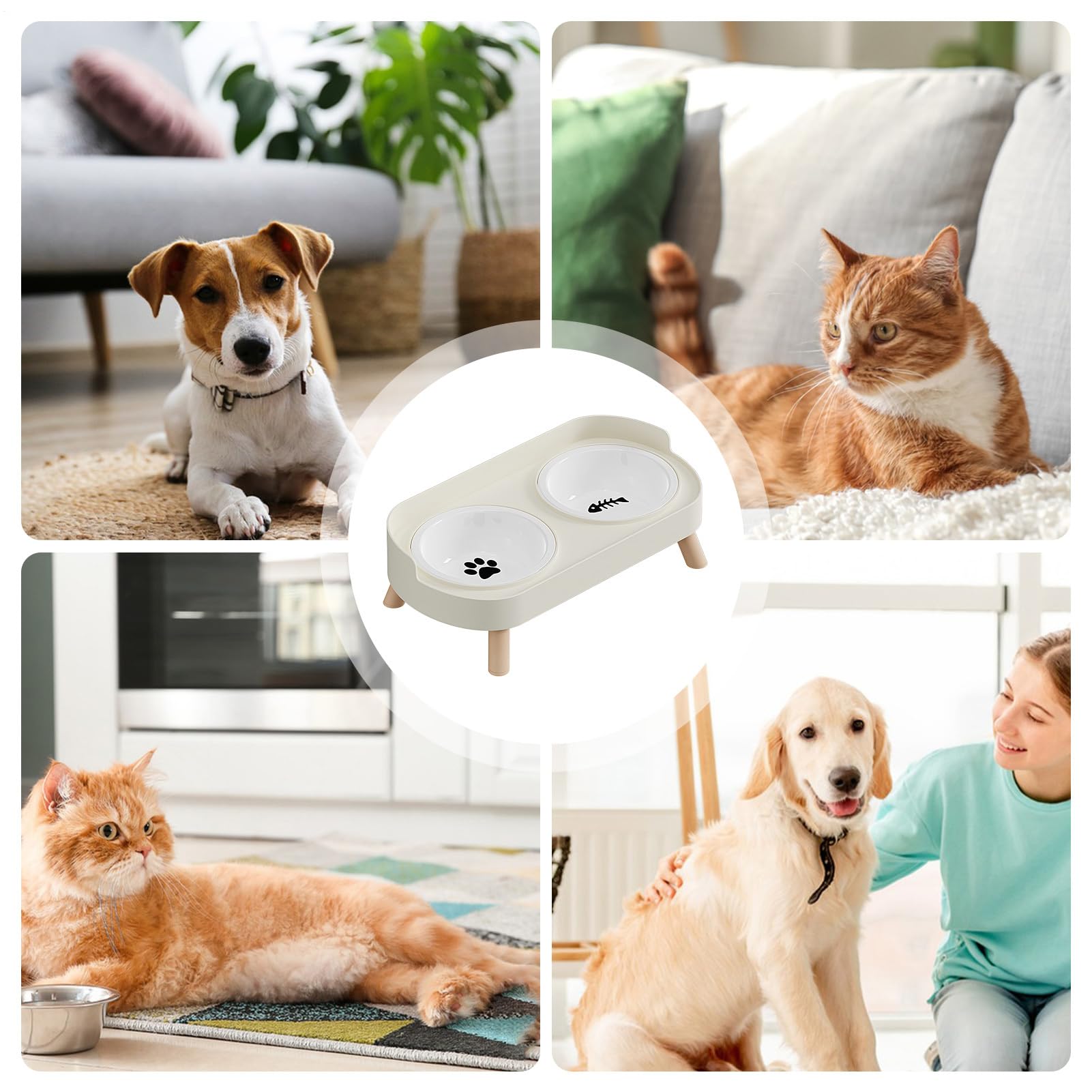 Ciotole Rialzate Per Gatti Mangiatoia In Ceramica Antigoccia | Elevata Per Acqua Di Cani E Ciotole Per Gatti Per Cuccioli Piccoli Animali Domestici Interno Esterno Casa Ufficio Giardino