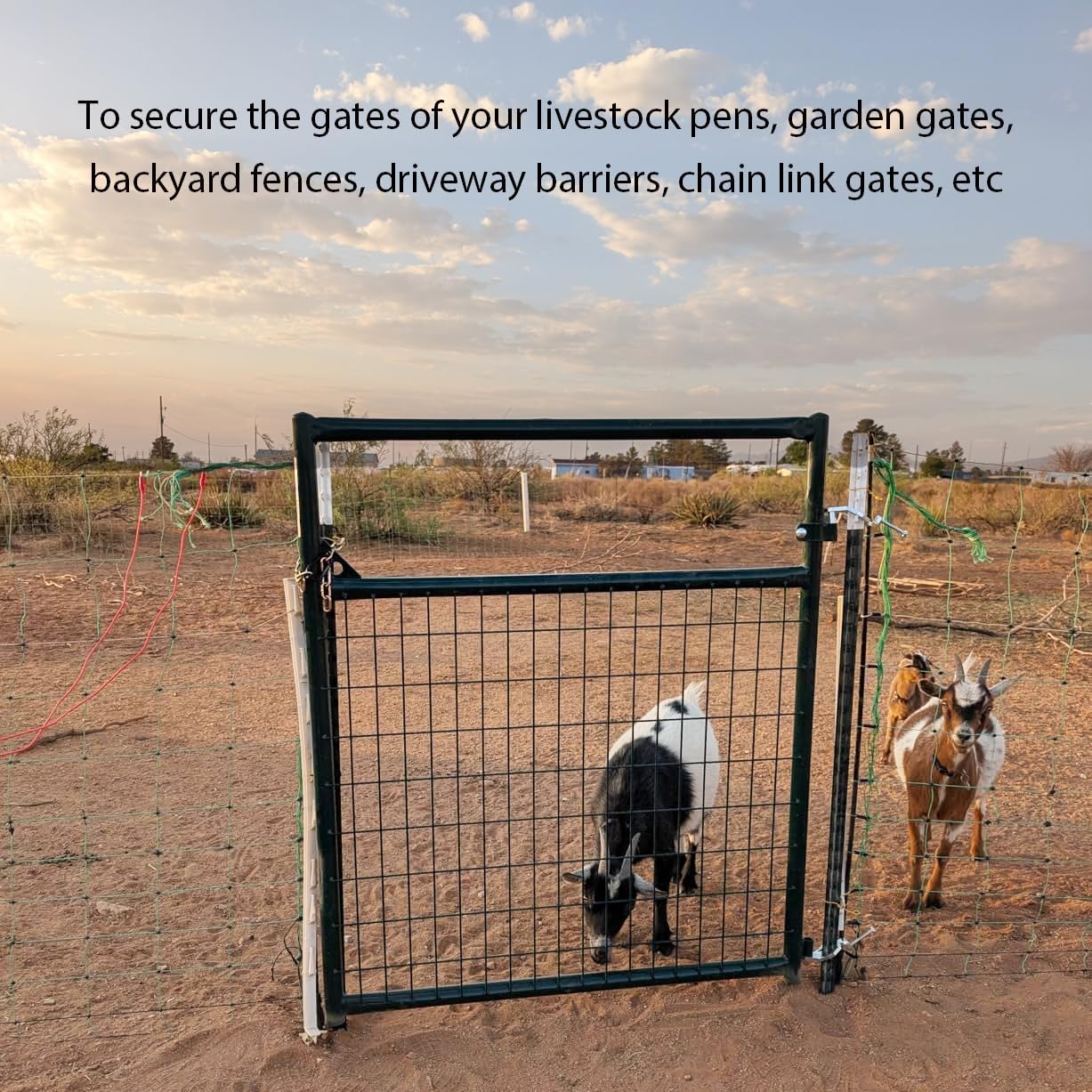 T Post Gate Hinges, Heavy Duty Gate Hinge Pins on Metal T Post 5/8" 3/4" Hinge Eyes, Adjustable Gate Hardware Parts for Chain Link Farm Livestock Fence Backyard Garden Gates