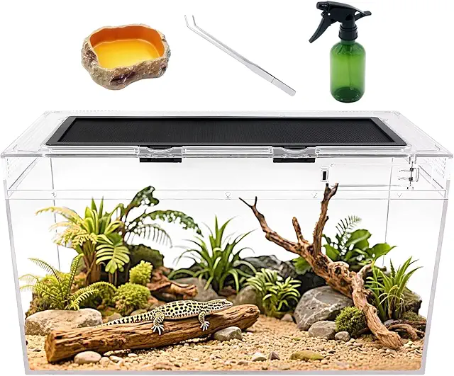 Reptile Terrarium Kit 20x10x11" with Accessories for Gecko, Bearded Dragon & More