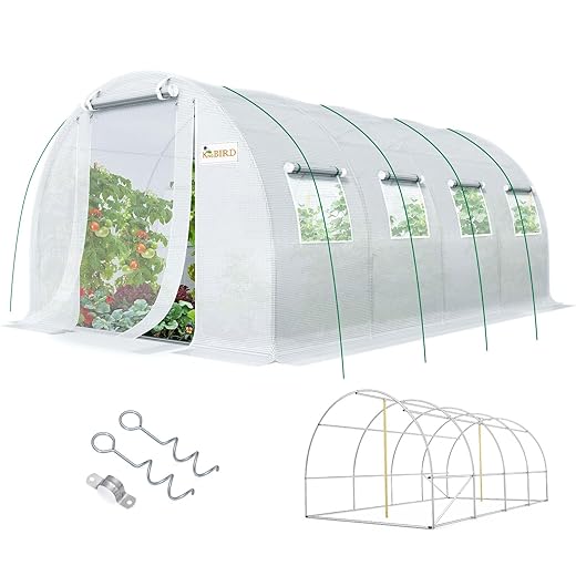 KING BIRD Premium 20x10x6.6FT Greenhouse for Outdoors, Large Walk-in Heavy Duty Galvanized Steel Frame, Mesh Door Screen Window Upgraded Zipper Tunnel Hoop for Garden Plant Winter, White
