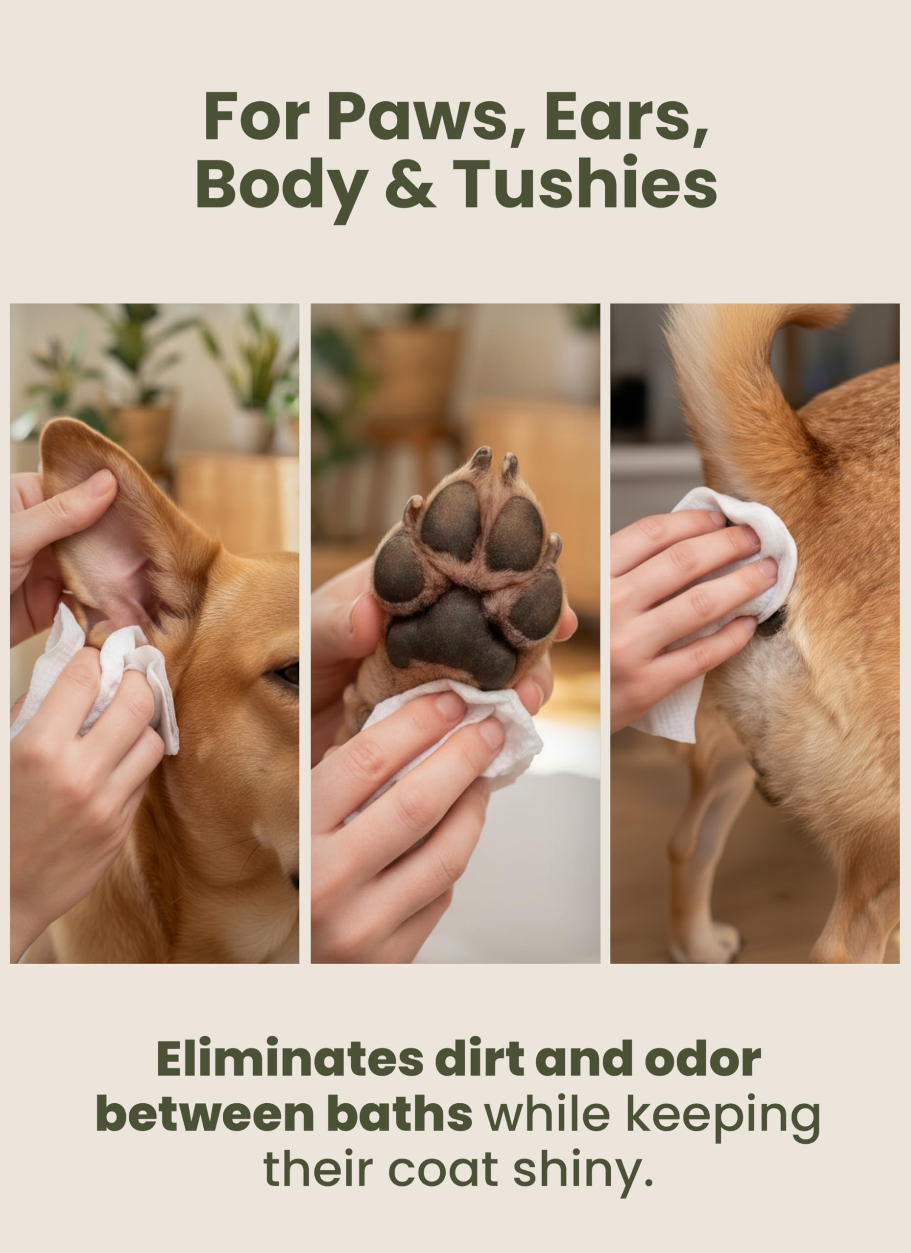 Pogi’s Dog Grooming Wipes – Hypoallergenic Pet Wipes for Paws, Body & Butt – Cleaning & Hydrating, Fragrance Free, 100-Count - image 7