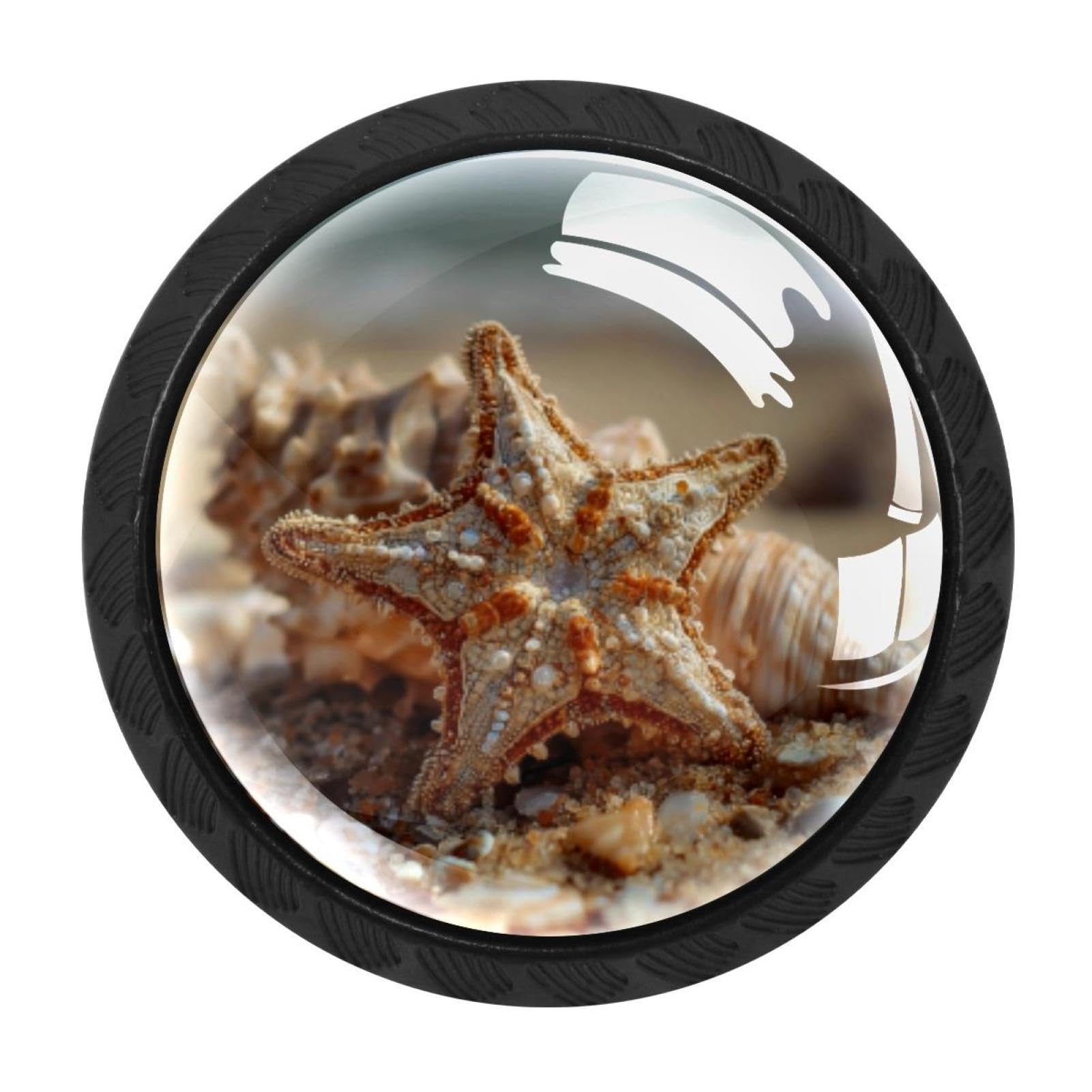CHENZZZZ 4 Pieces Kitchen Cabinet Drawer Dresser Door Knobs Pulls Handles, Beach Starfish Seashell