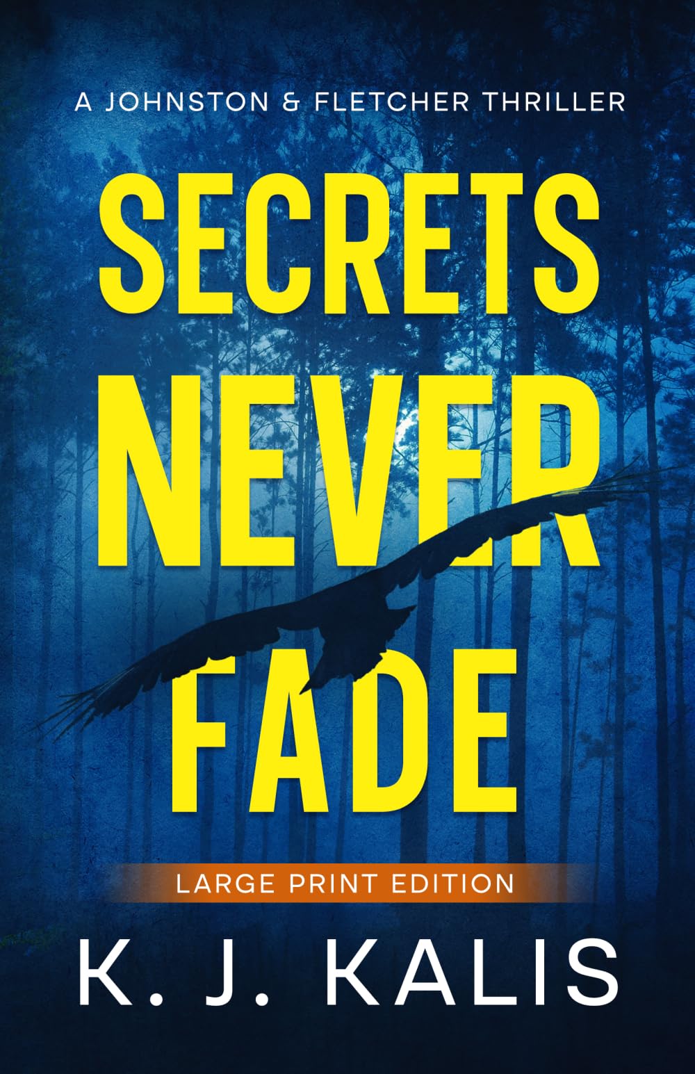 Secrets Never Fade: A Johnston & Fletcher Thriller