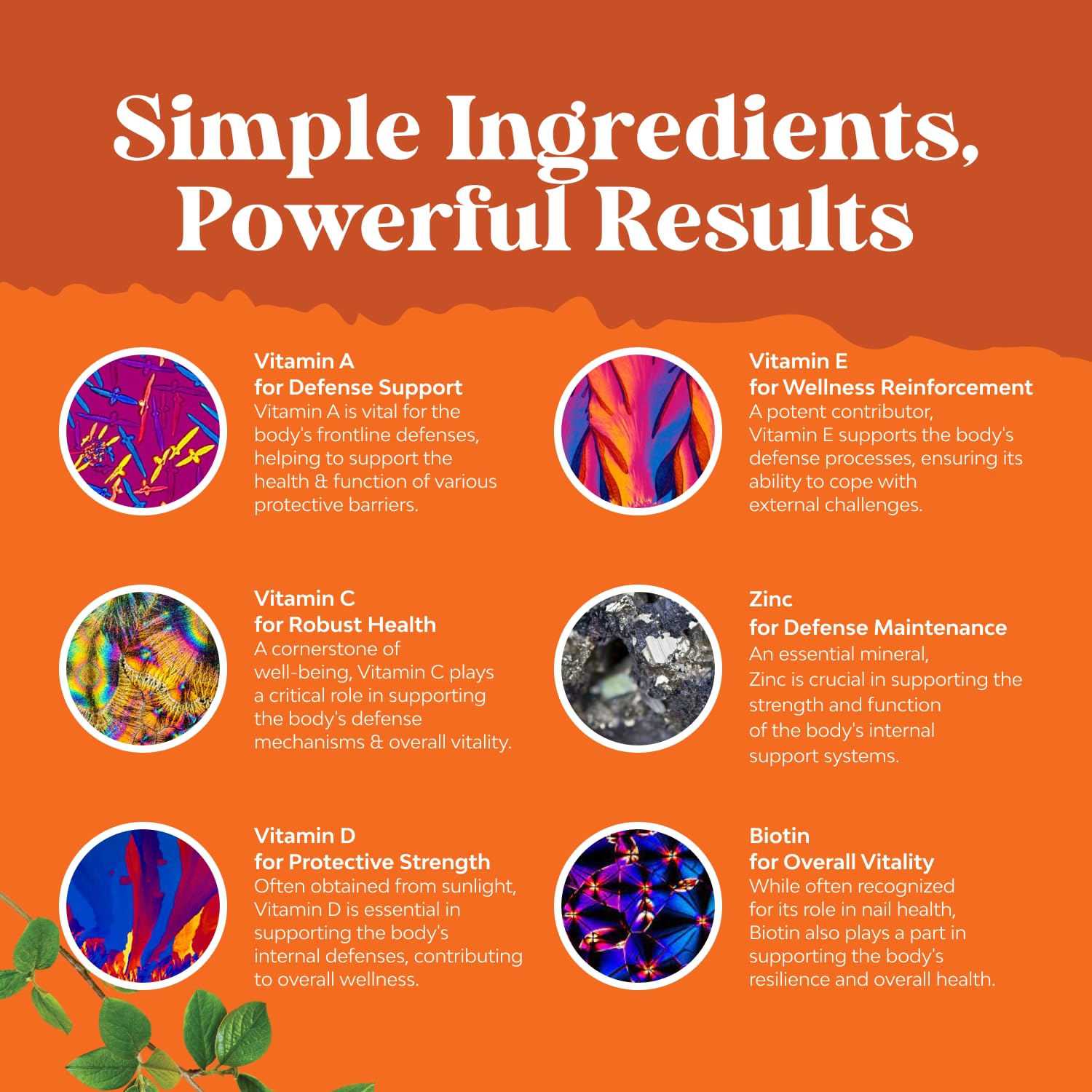 Potent Multivitamin Gummies for Adults - Energy and Immune Support - 90 Ct — Amazon image 4