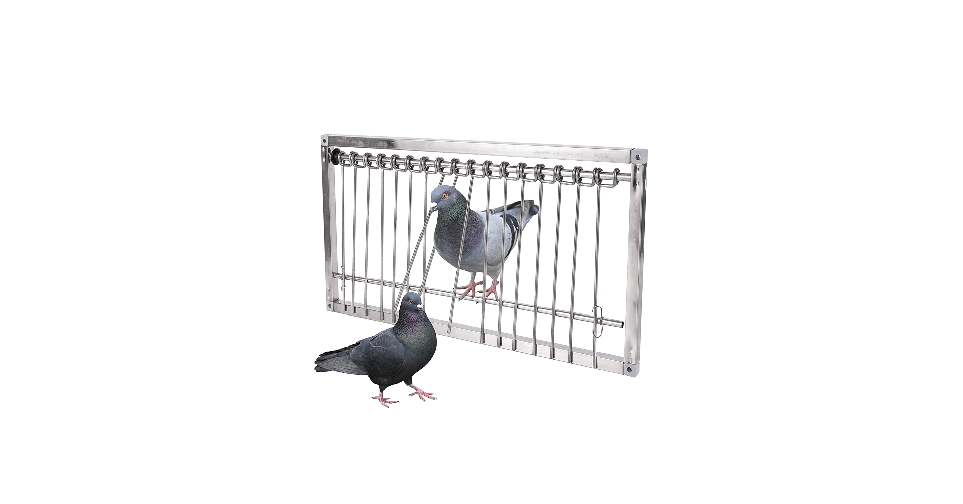 Amazon.com: 1PC Pigeon Trap Door Stainless Steel Entrance