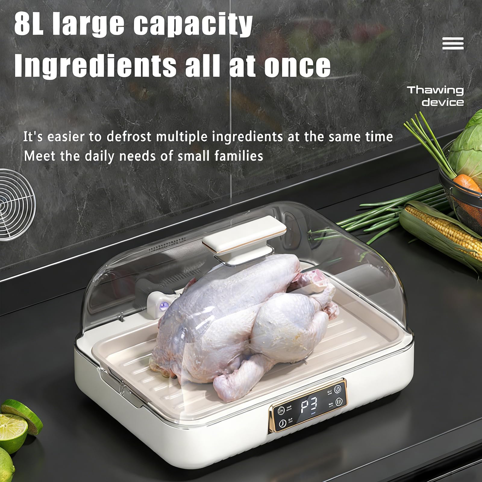 Vassoio per sbrinamento carne da 8 litri con calore circolante a 360°, controllo della temperatura a 3 livelli, scongelamento rapido 3D per carne, frutti di mare e verdure, cucina di casa