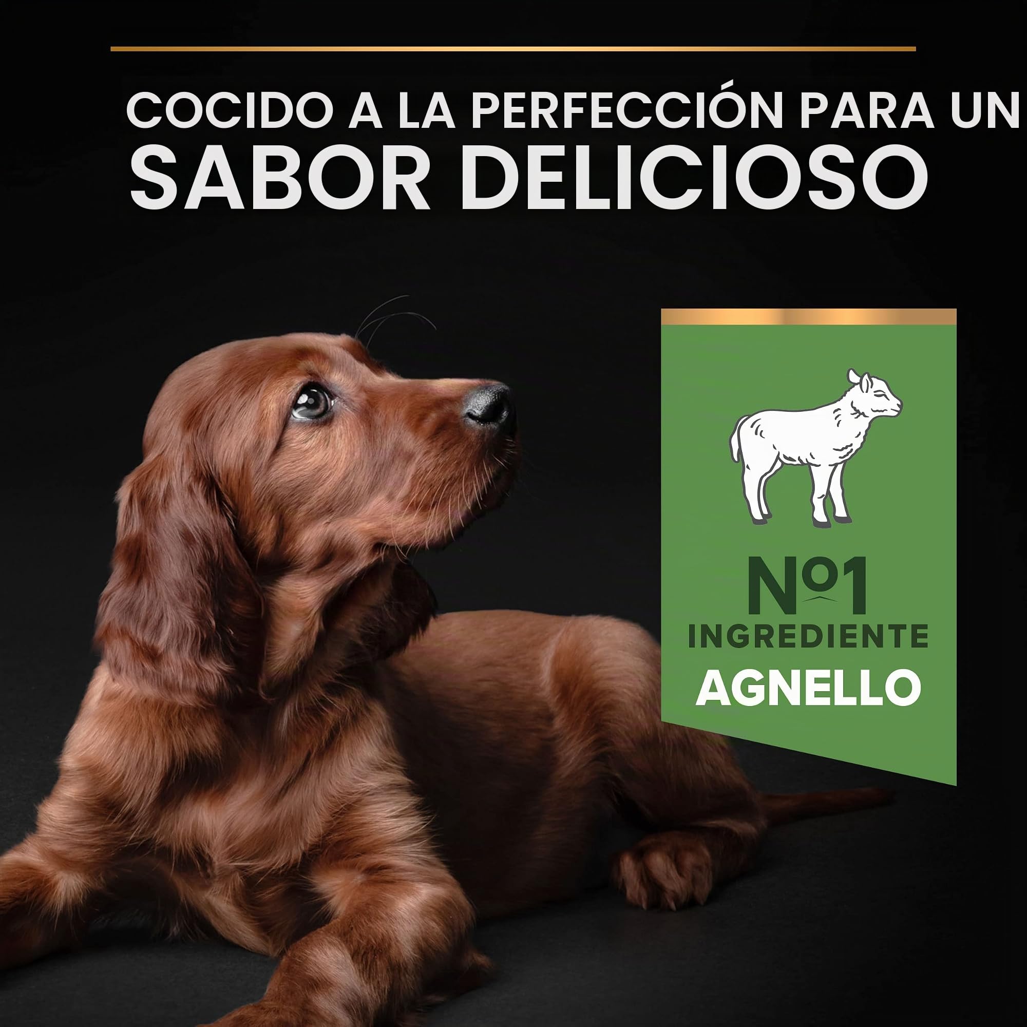 PURINA PRO PLAN Large Athletic Puppy Sensitive Digestion cordero