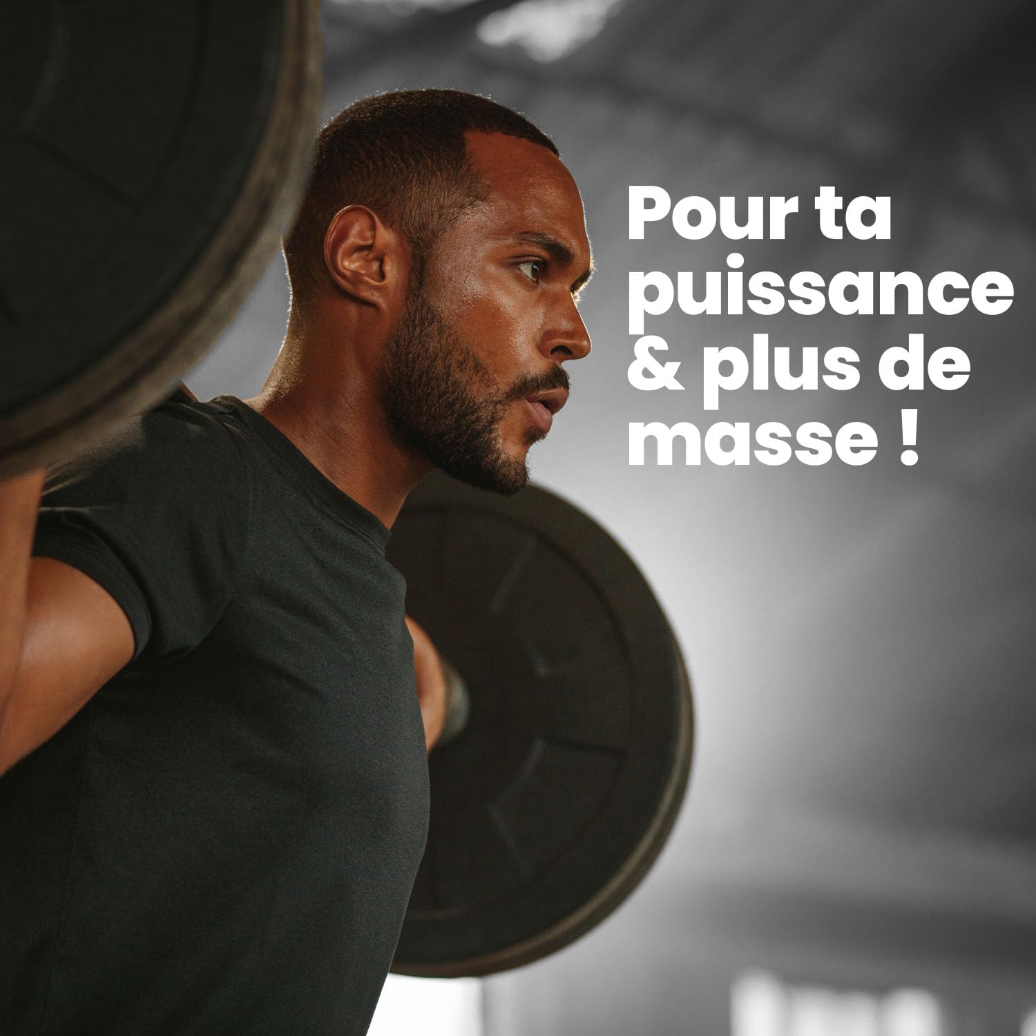 Mammut Nutrition – Crash 5000 Weight Gainer 4,5 kg Vanille – Mass Gainer 80% glucides dextrose maltodextrine – 4 protéines + créatine – 518 kcal par portion – Prise de masse musculaire
