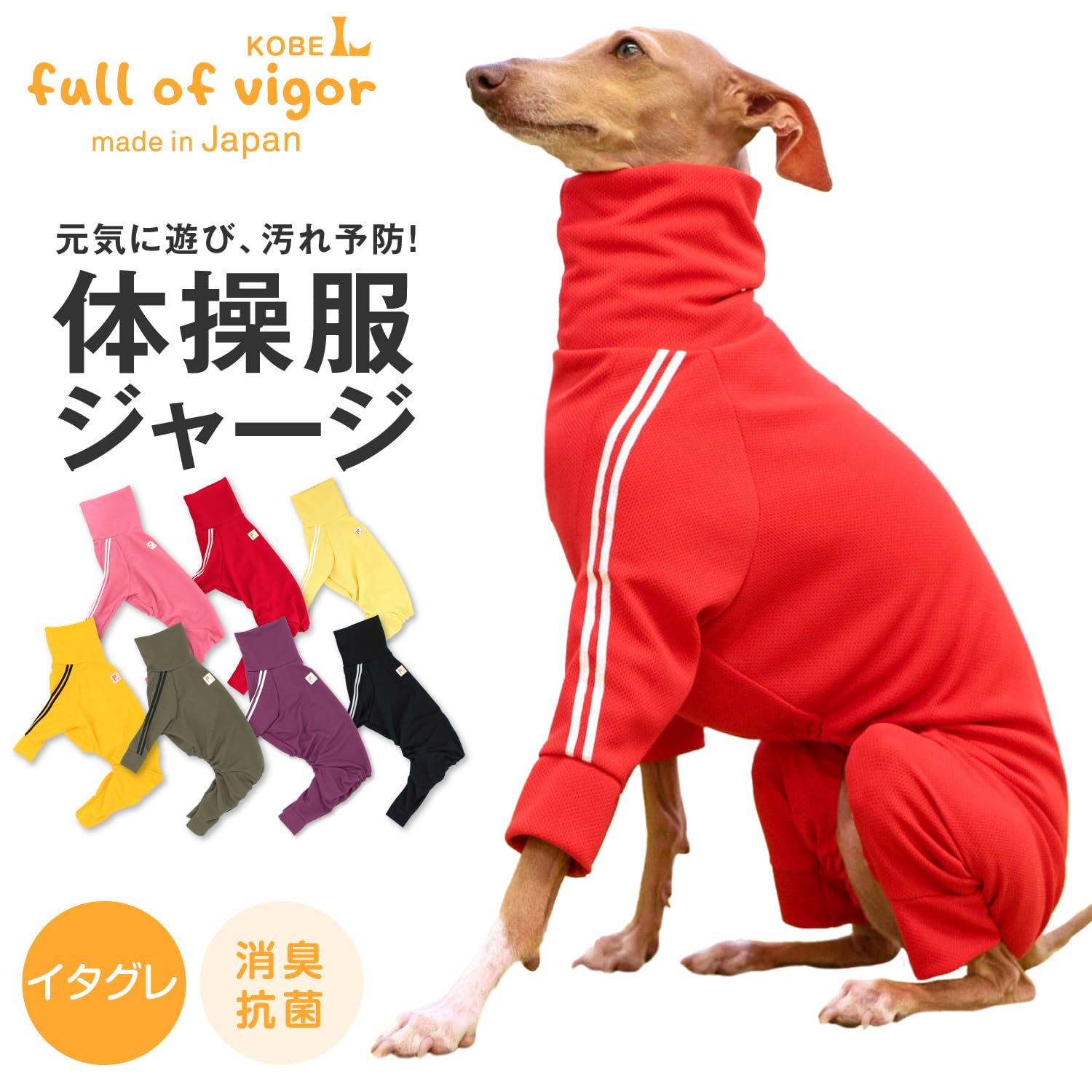 ポスター イタグレ 値下げしました 【公式通販】