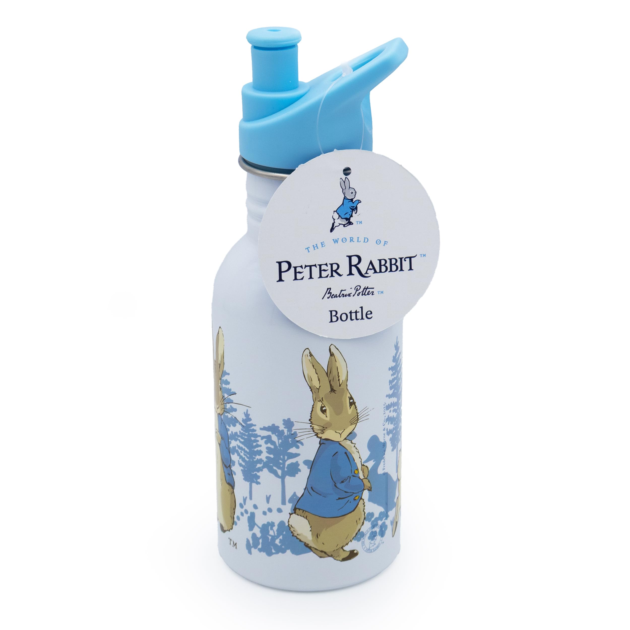 Peter Rabbit Children’s Water Bottle – 500ml Stainless Steel – Leakproof Kids Metal Bottle with Spout