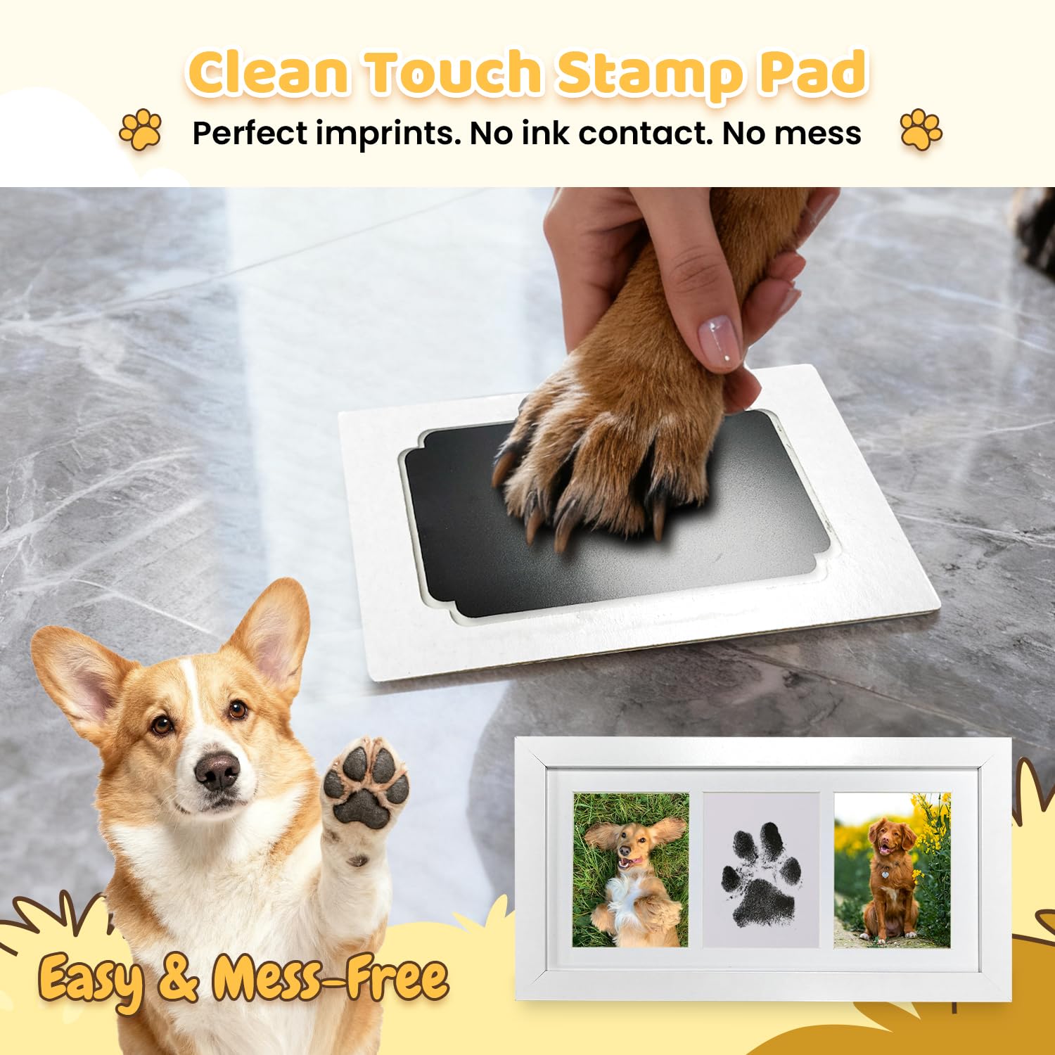 Kit Empreinte Chien Chat, Cadeaux pour Chien avec 2 Tampons Encreurs Sans Encre, 4 Cartes, Kit Empreinte Bebe avec Cadre Photo en Bois, Kit d'Impression pour Bébé de 0 à 6 Mois, Cadre Triple, Blanc