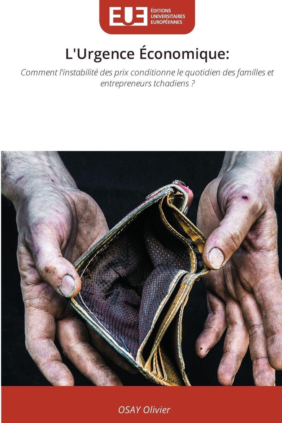 L'Urgence Économique: Comment l'instabilité des prix conditionne le quotidien des familles et entrepreneurs tchadiens ?