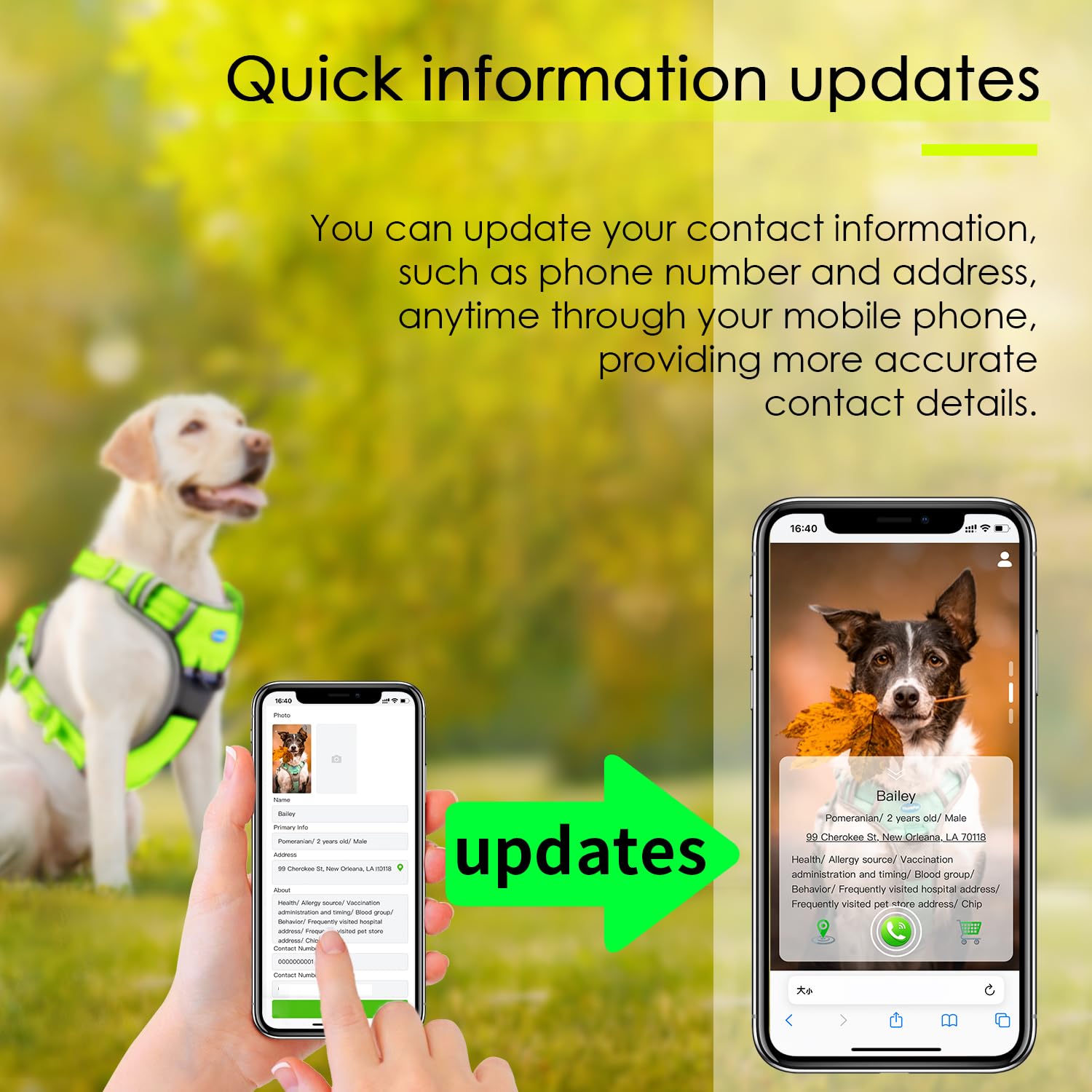 ThinkPet Arnés deportivo transpirable con código QR, arnés reflectante con asa ajustable para perros medianos y grandes, clip trasero y frontal para un fácil control, talla XL, color verde