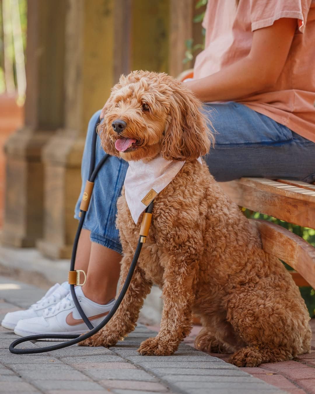 Remy+Roo Manhattan Black Heavy Duty Dog Leash - 5 ft, Custom Waste Bag Ring, Double Stitched Leather, Lobster Clasp, Brass Finish - Suitable for Large, Medium & Small Dogs