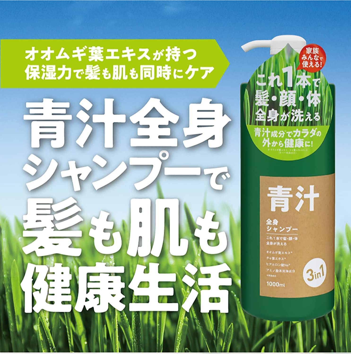 Amazon.co.jp: 東京Deco 青汁全身シャンプー 3L 大容量1000ml×3本