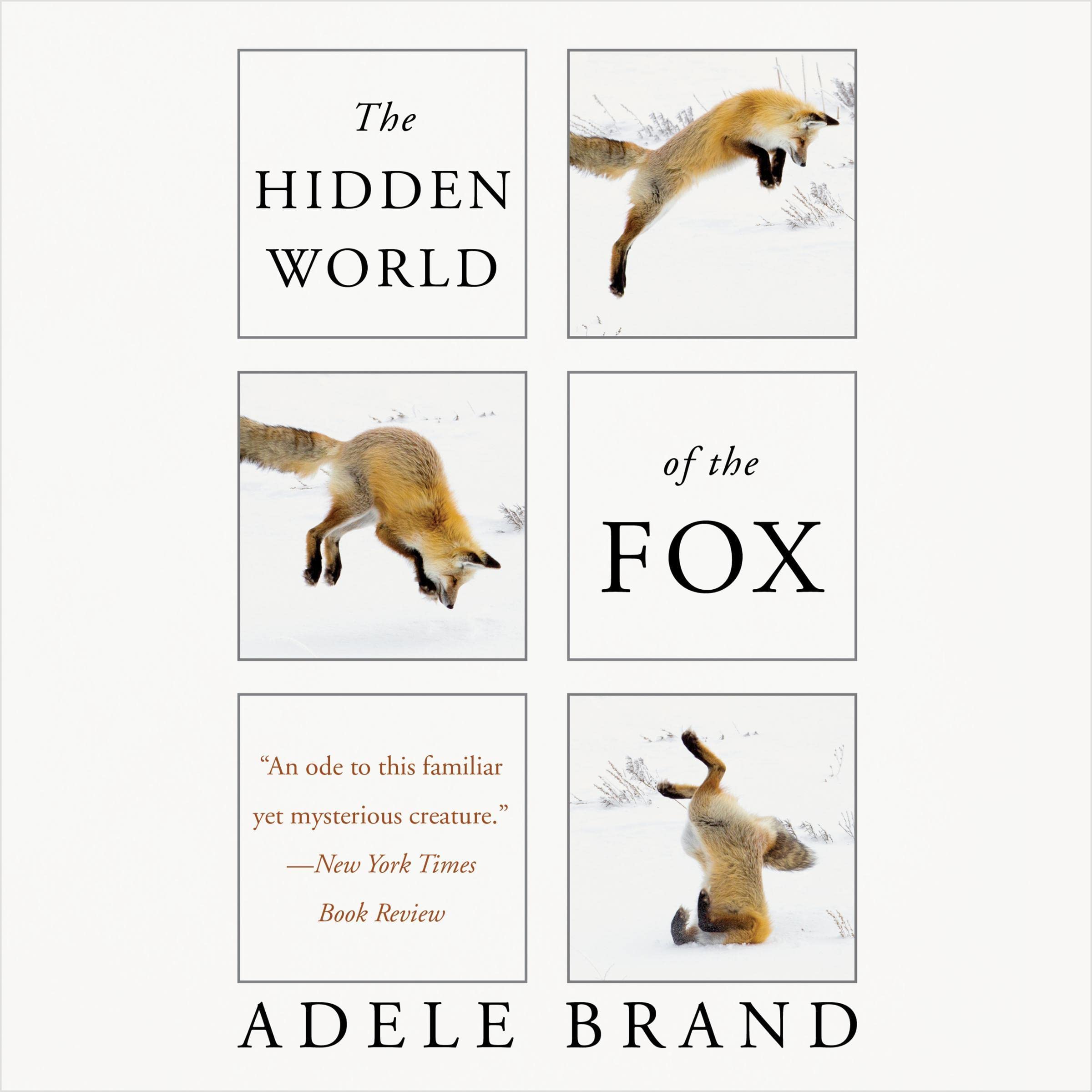 Cover art for The Hidden World of the Fox