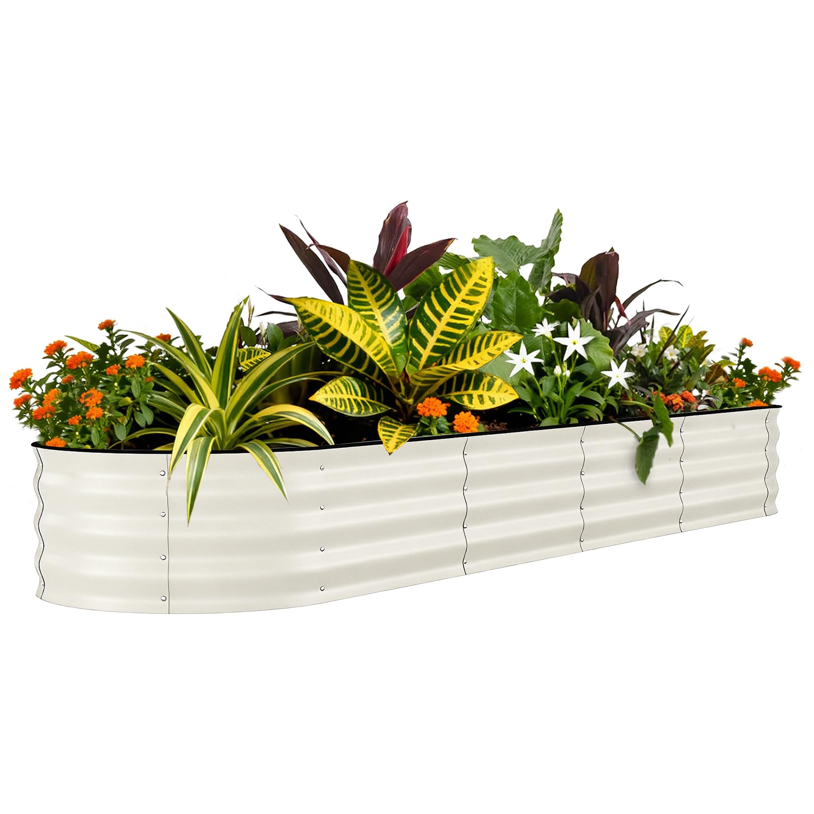 Aptliton 1 Pcs-White-With Anti-Cut Strips 8X2x1.5 Ft Galvanized Raised Garden Bed, 240X60x45cm, Rust-Resistant Metal Planter Box For Flowers, Vegetables & Herbs – Easy Assembly – Beige With Anti-Cut Strips,White