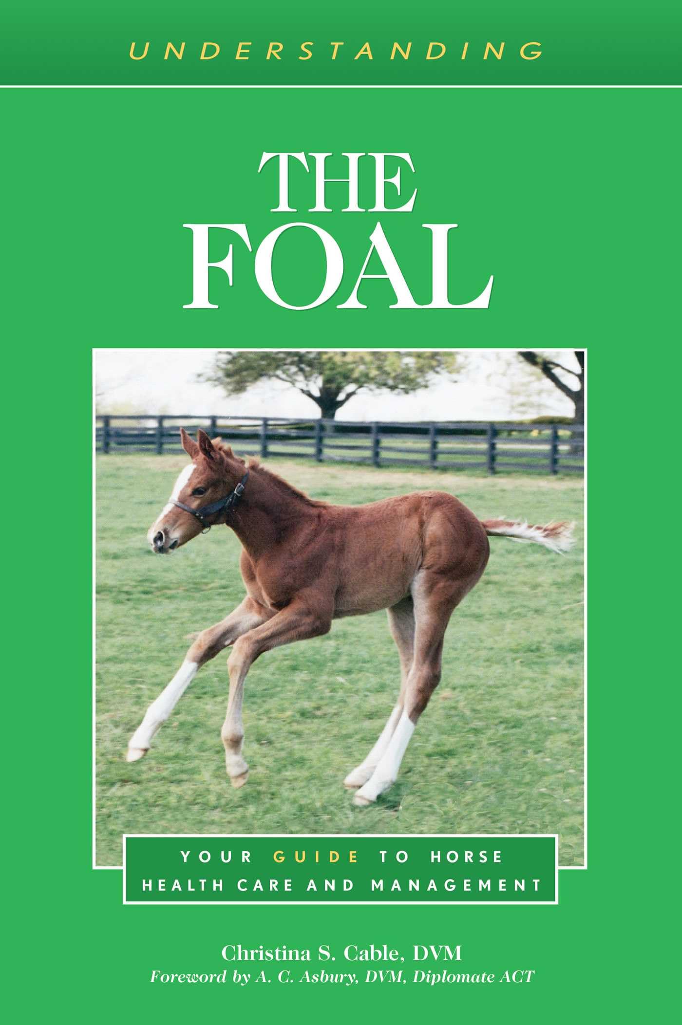 Understanding the Foal: Your Guide to Horse Health Care and Management (Understanding Horse Care)