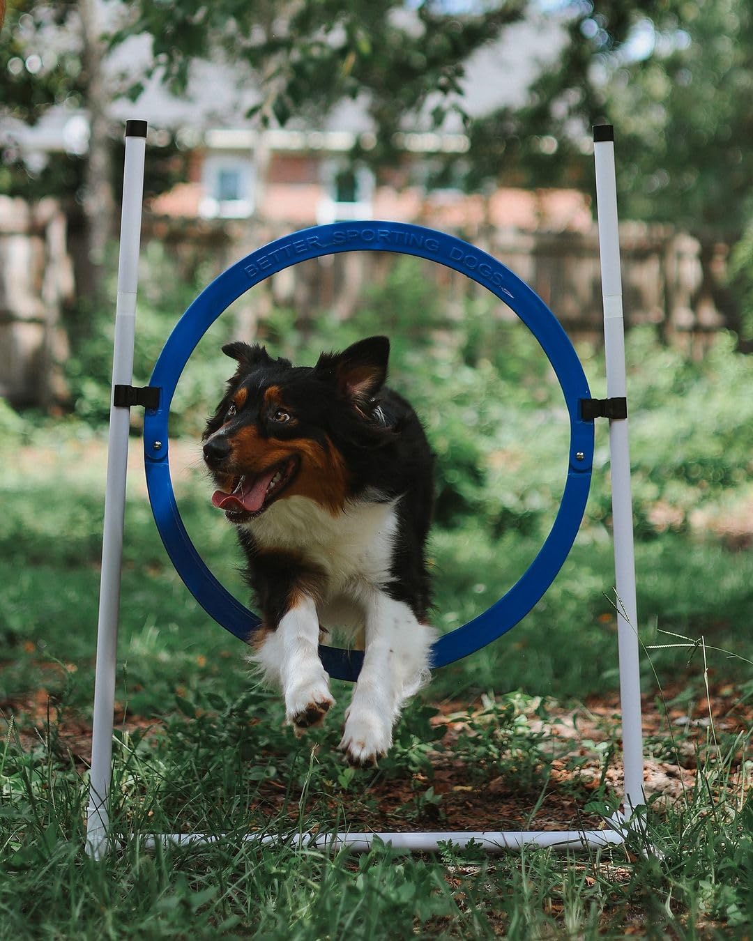 Better Sporting Dogs 4 Pack Adjustable Dog Agility Jumps w/Safety-Focused Features | 2 Bar Jumps with Cup Strips | 2 Breakaway Tire Jumps - image 4
