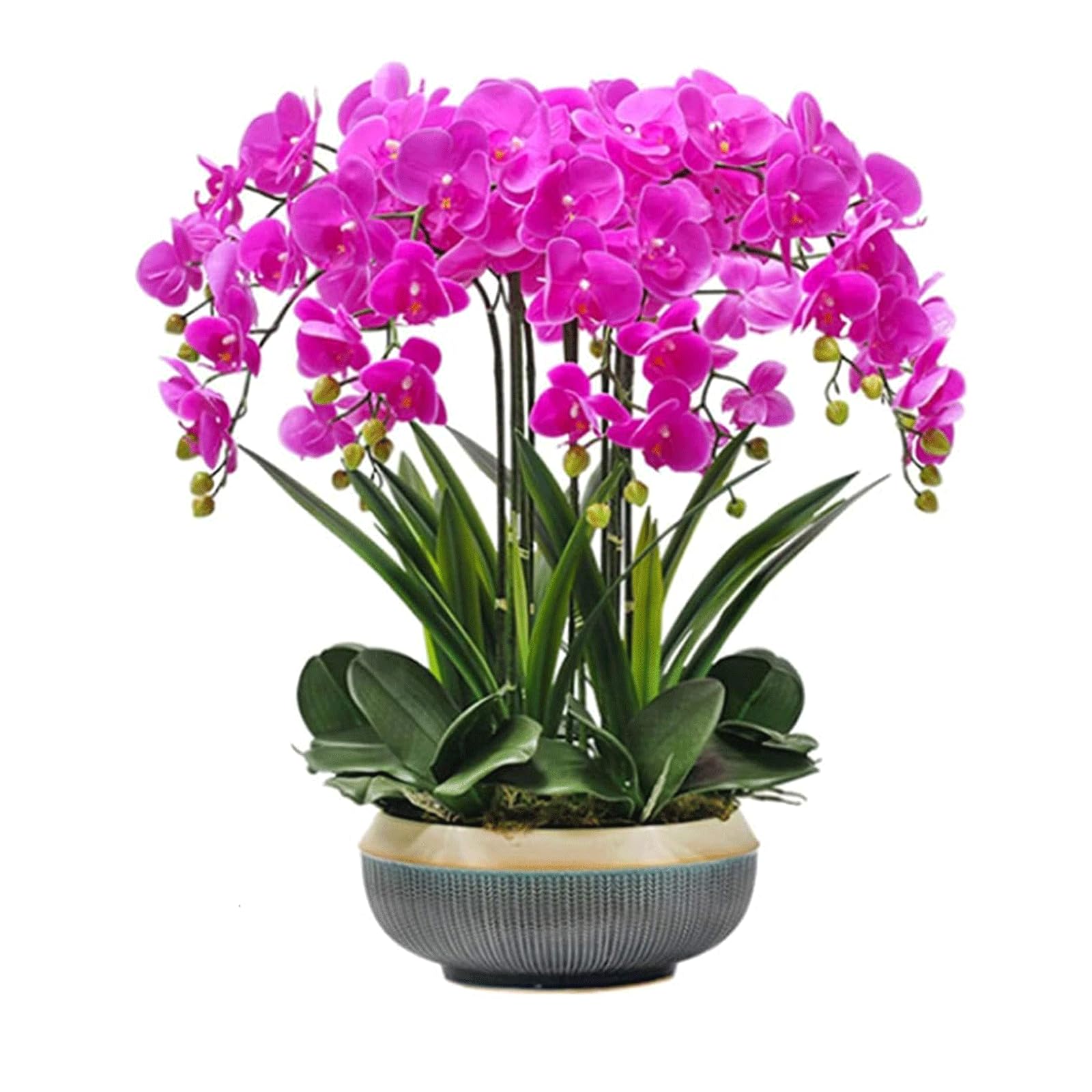 Flores artificiales de orquídea artificial con maceta de cerámica, flores artificiales de seda, flores artificiales de 68 cm, decoración de orquídeas artificiales