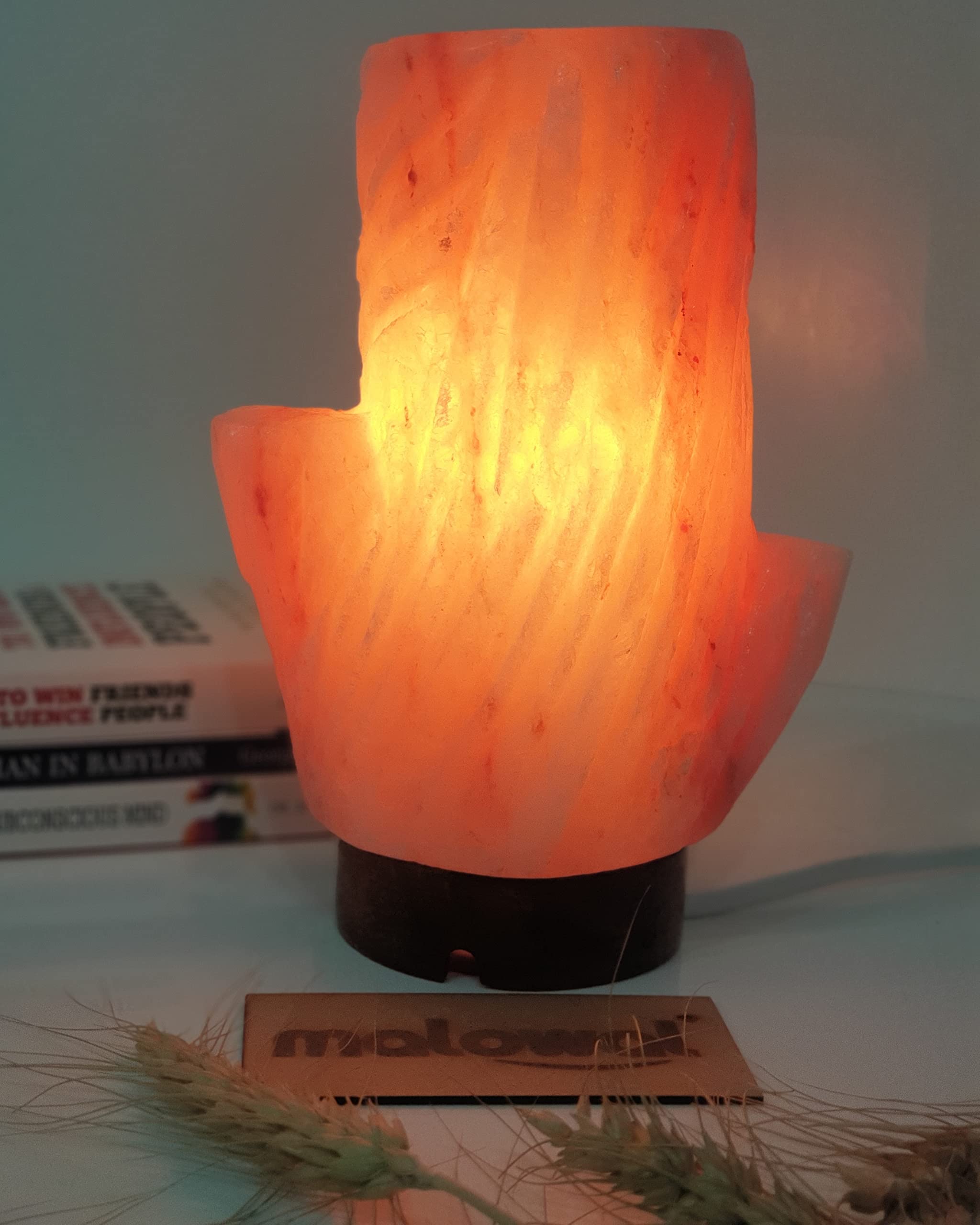 Himalayan Rock Salt Tree Lamp with Wooden Base and an Extra Bulb Natural (Pink) (Natural Salt Tree Lamp)-image-49