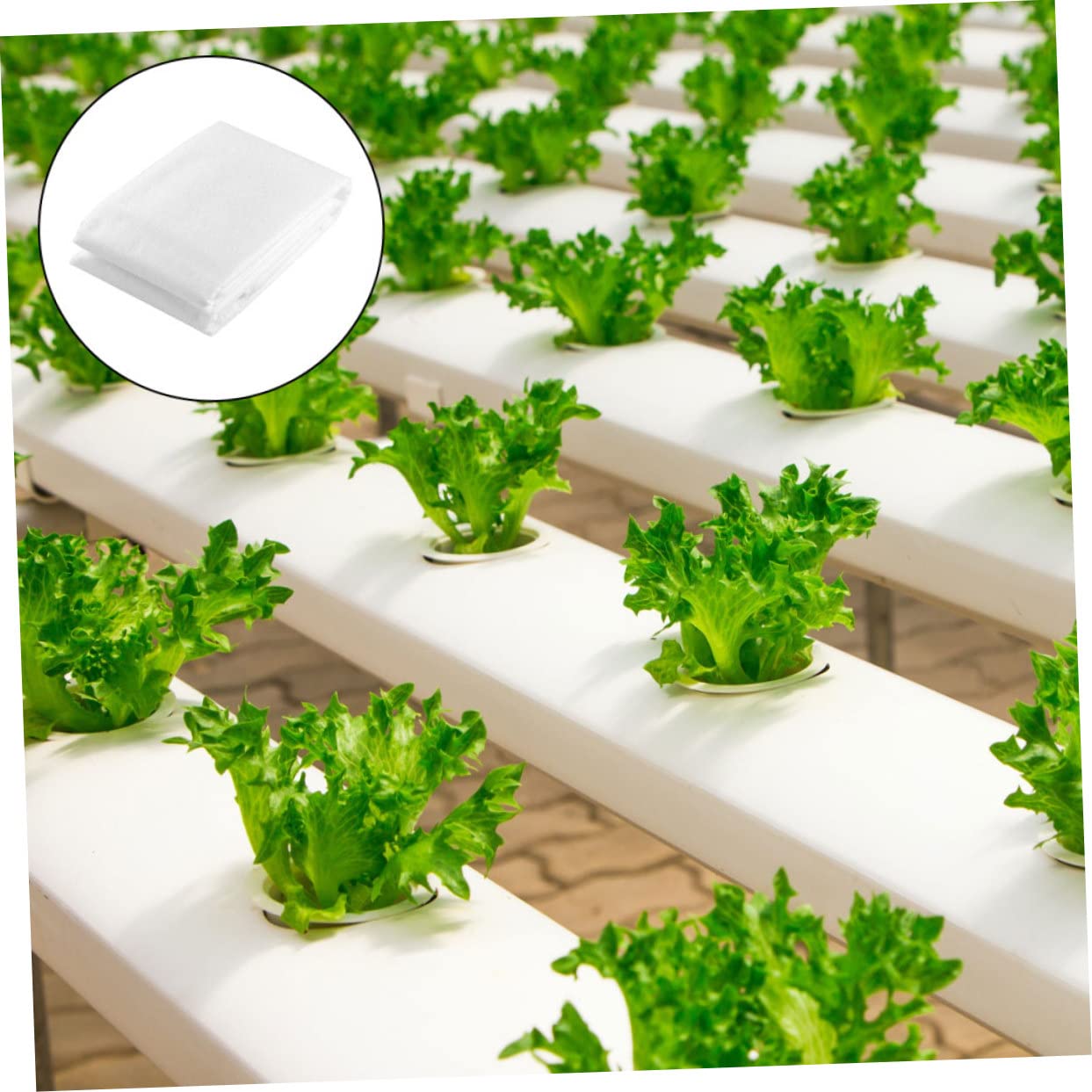 HANABASS Copertura Piante Inverno Non Tessuto Bianco Antigelo | Perenni e Fragole, Isolante e Traspirante, Telo Protettivo per Stagione Fredda