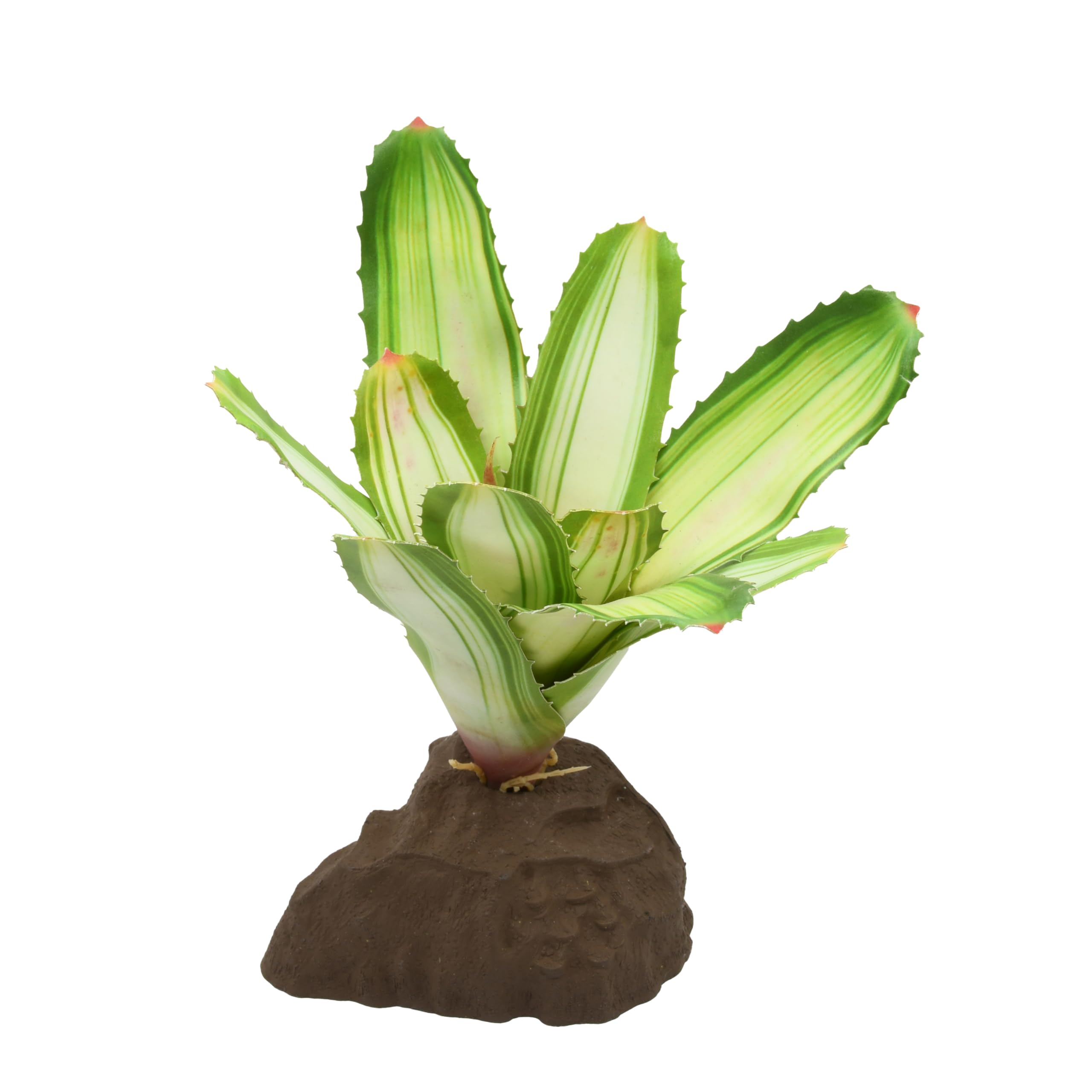 Lucky Reptile Scape it Easy Neoregelia Bromélia, plante décorative pour terrarium Blanc env. 20 cm